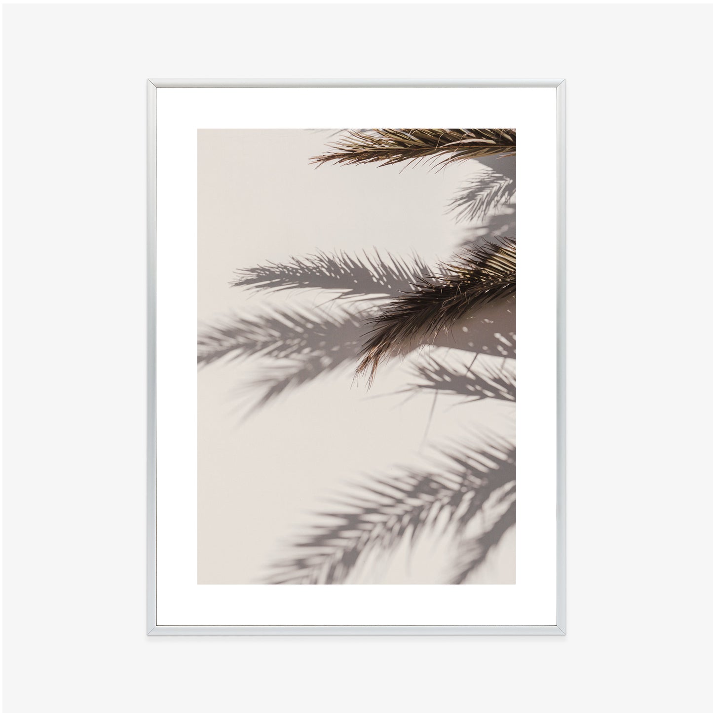 Poster Palmblätter Mit Schattenreflexion An Der Wand Rahmen Holz Mit Passepartout Farbe Natürlich