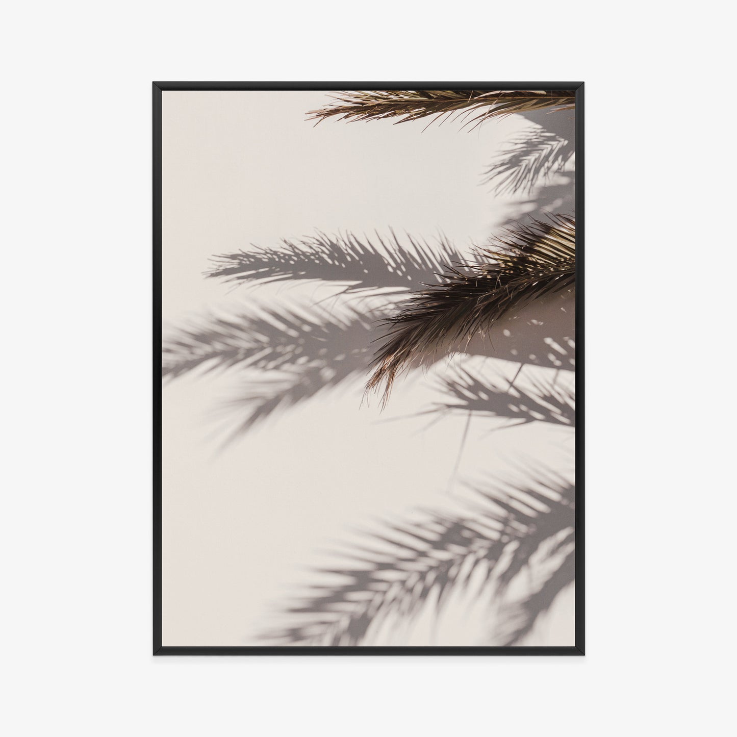 Poster Palmblätter Mit Schattenreflexion An Der Wand Rahmen Holz Mit Passepartout Farbe Natürlich
