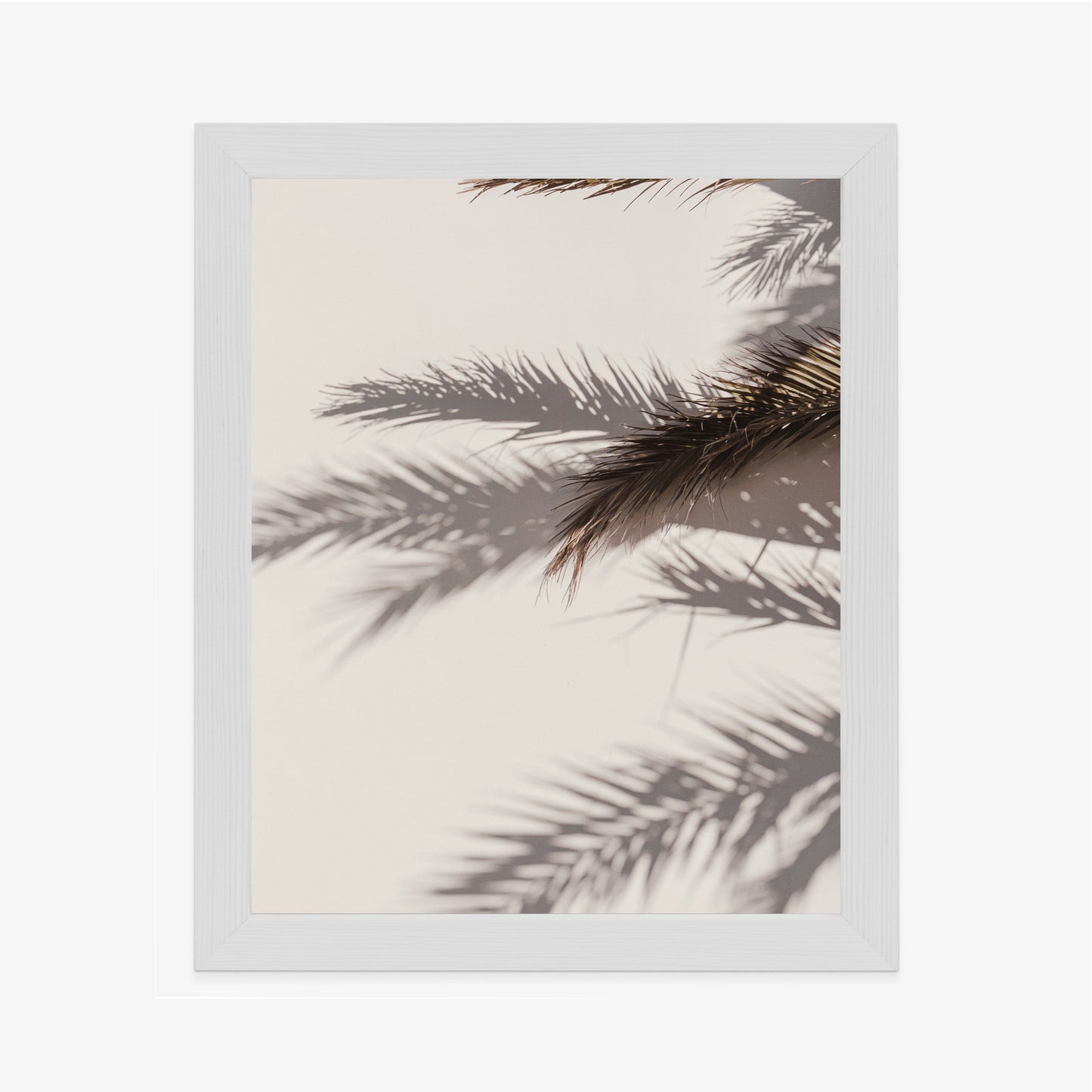 Poster Palmblätter Mit Schattenreflexion An Der Wand Rahmen Holz Mit Passepartout Farbe Natürlich