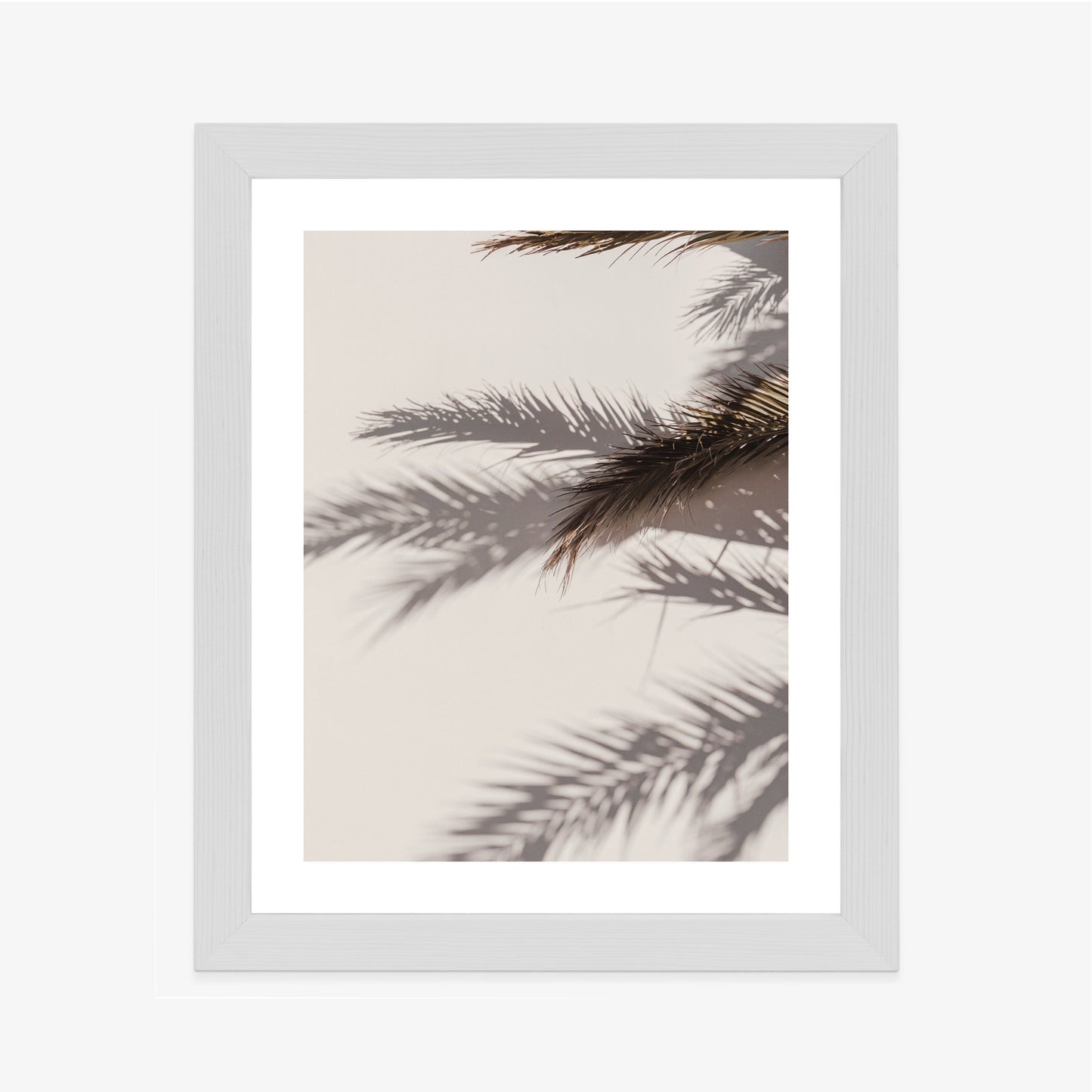 Poster Palmblätter Mit Schattenreflexion An Der Wand Rahmen Holz Mit Passepartout Farbe Natürlich