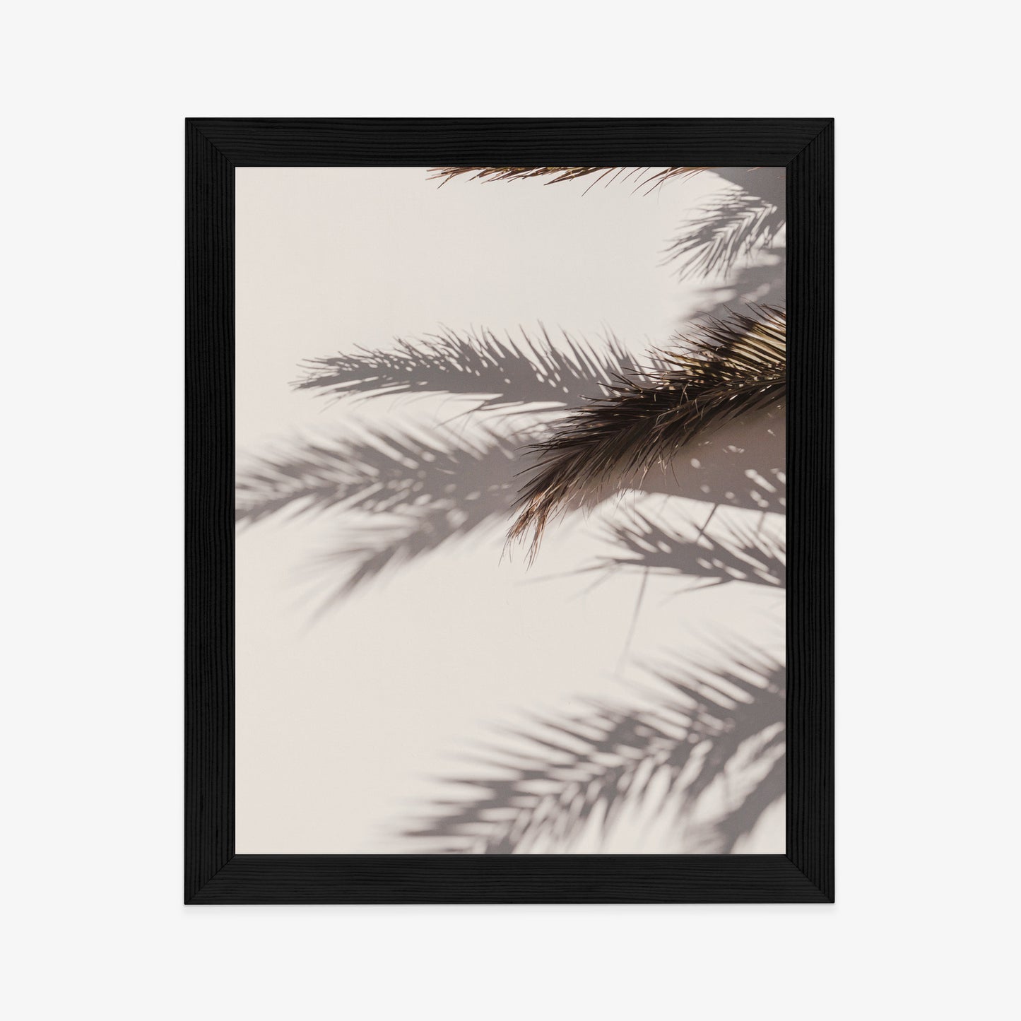 Poster Palmblätter Mit Schattenreflexion An Der Wand Rahmen Holz Mit Passepartout Farbe Natürlich
