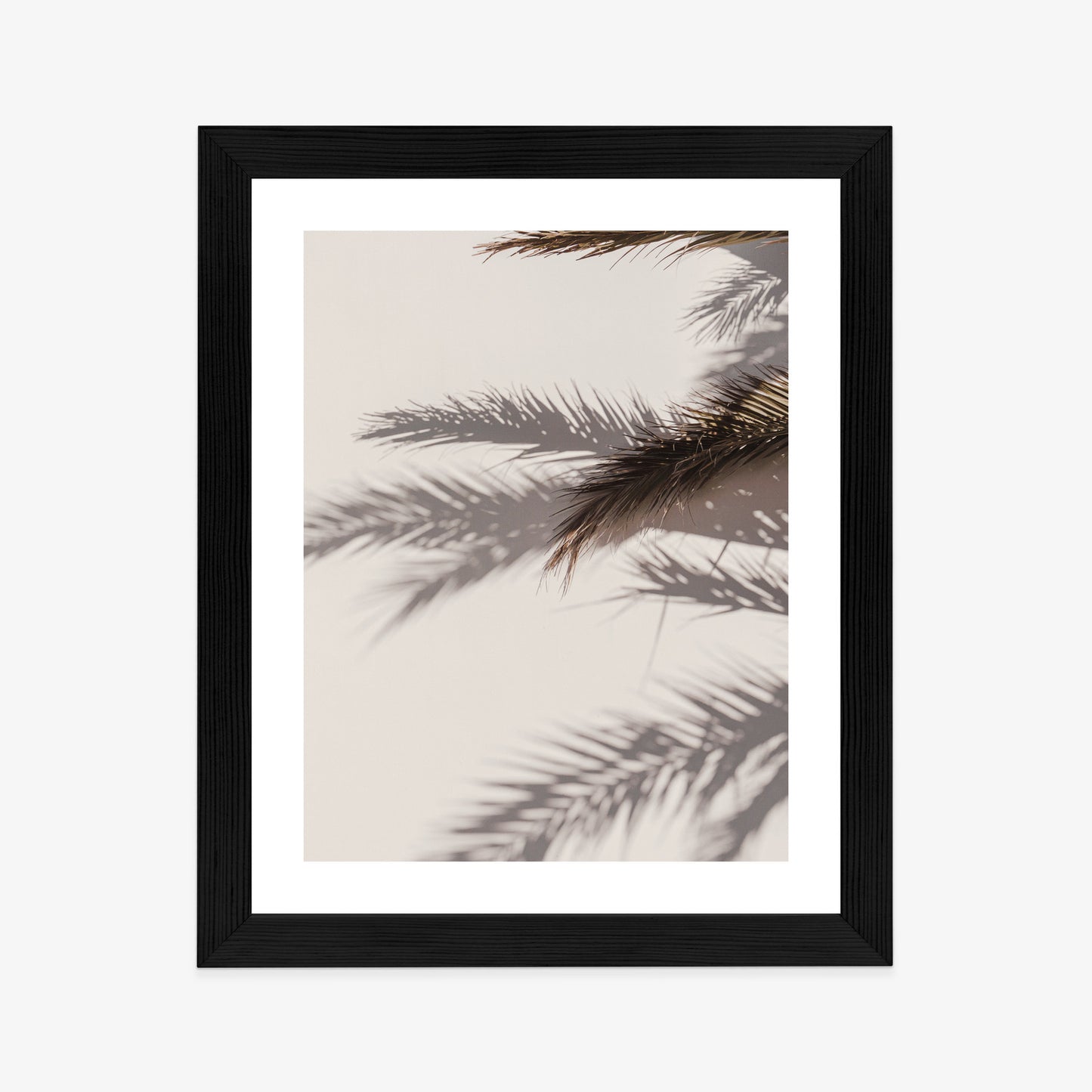 Poster Palmblätter Mit Schattenreflexion An Der Wand Rahmen Holz Mit Passepartout Farbe Natürlich