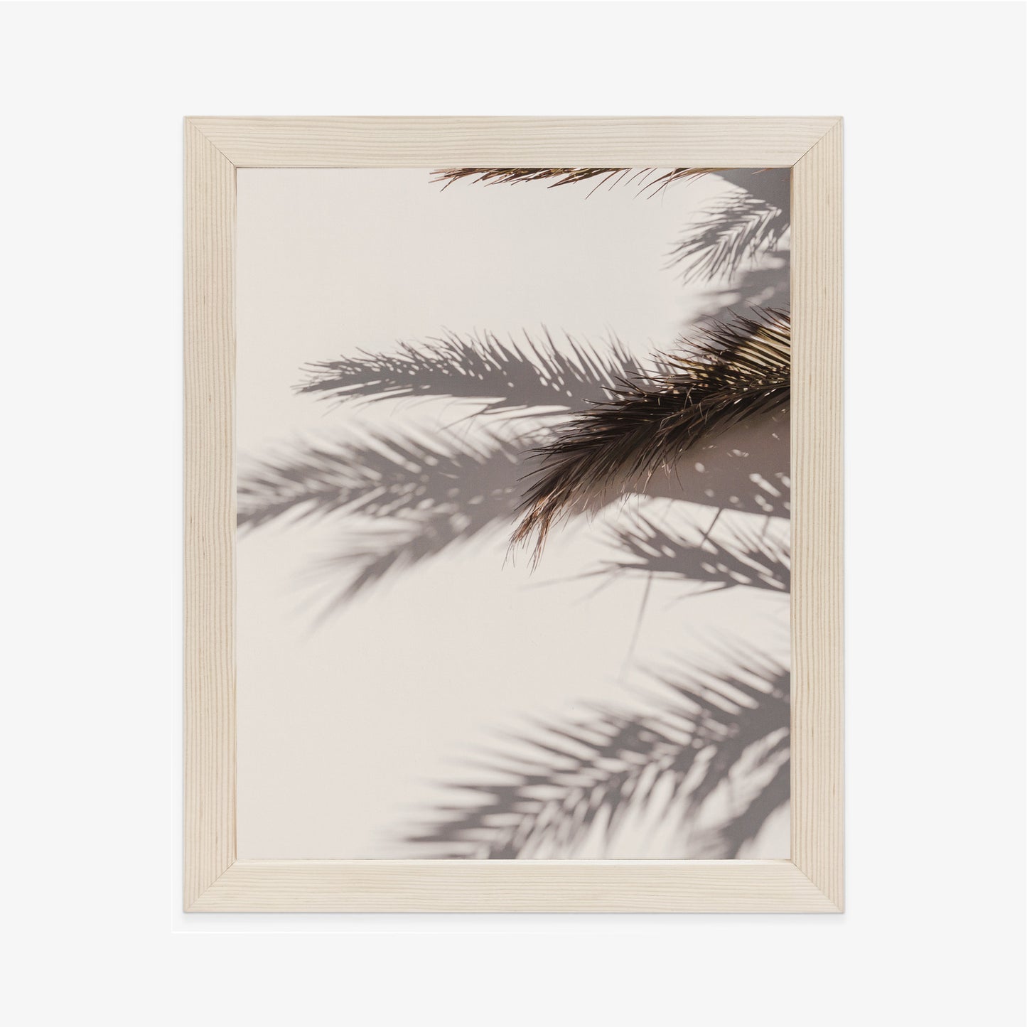 Poster Palmblätter Mit Schattenreflexion An Der Wand Rahmen Holz Mit Passepartout Farbe Natürlich