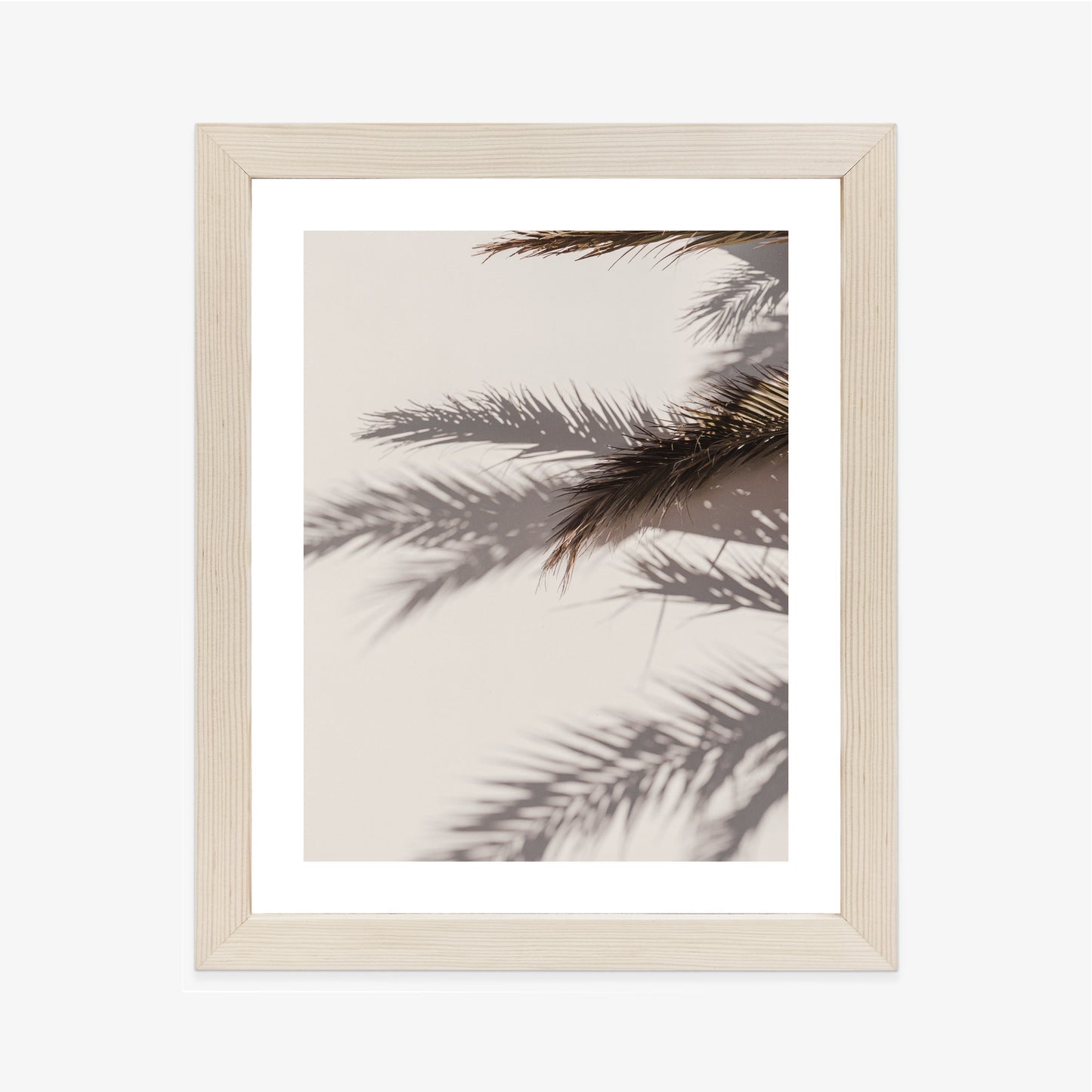 Poster Palmblätter Mit Schattenreflexion An Der Wand Rahmen Holz Mit Passepartout Farbe Natürlich