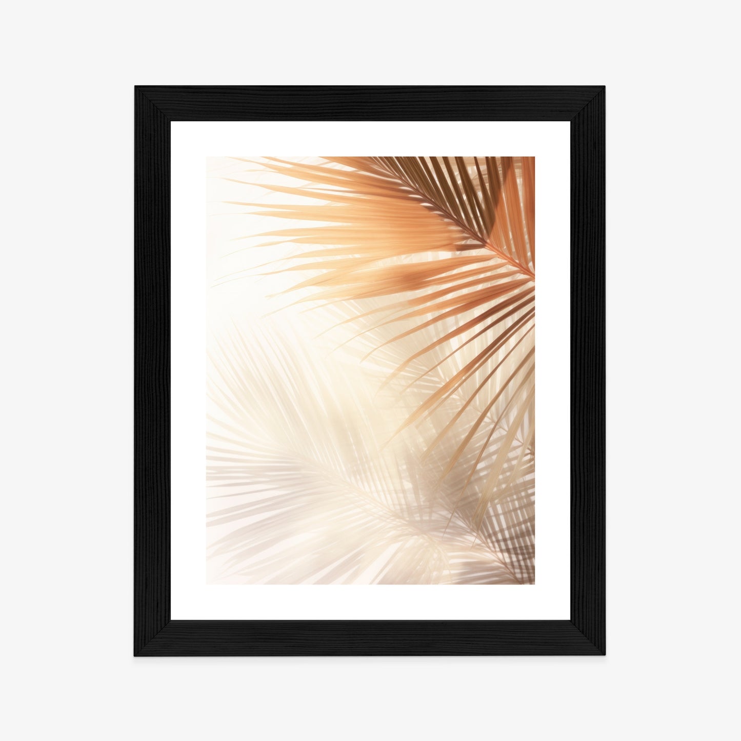 Poster Tropische Palmblätter Mit Schatten Rahmen Holz Mit Passepartout Farbe Natürlich