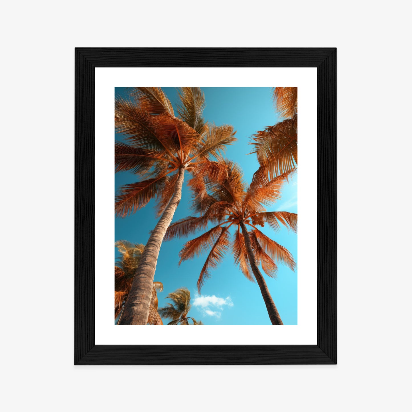 Poster Blauer Himmel Und Hohe Palmen Rahmen Holz Mit Passepartout Farbe Natürlich