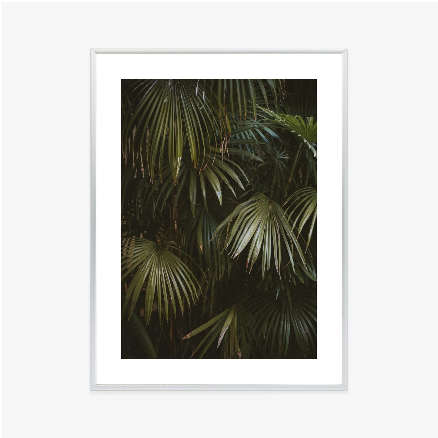 Poster Dunkelgrüne Palmblätter Rahmen Holz Mit Passepartout Farbe Natürlich