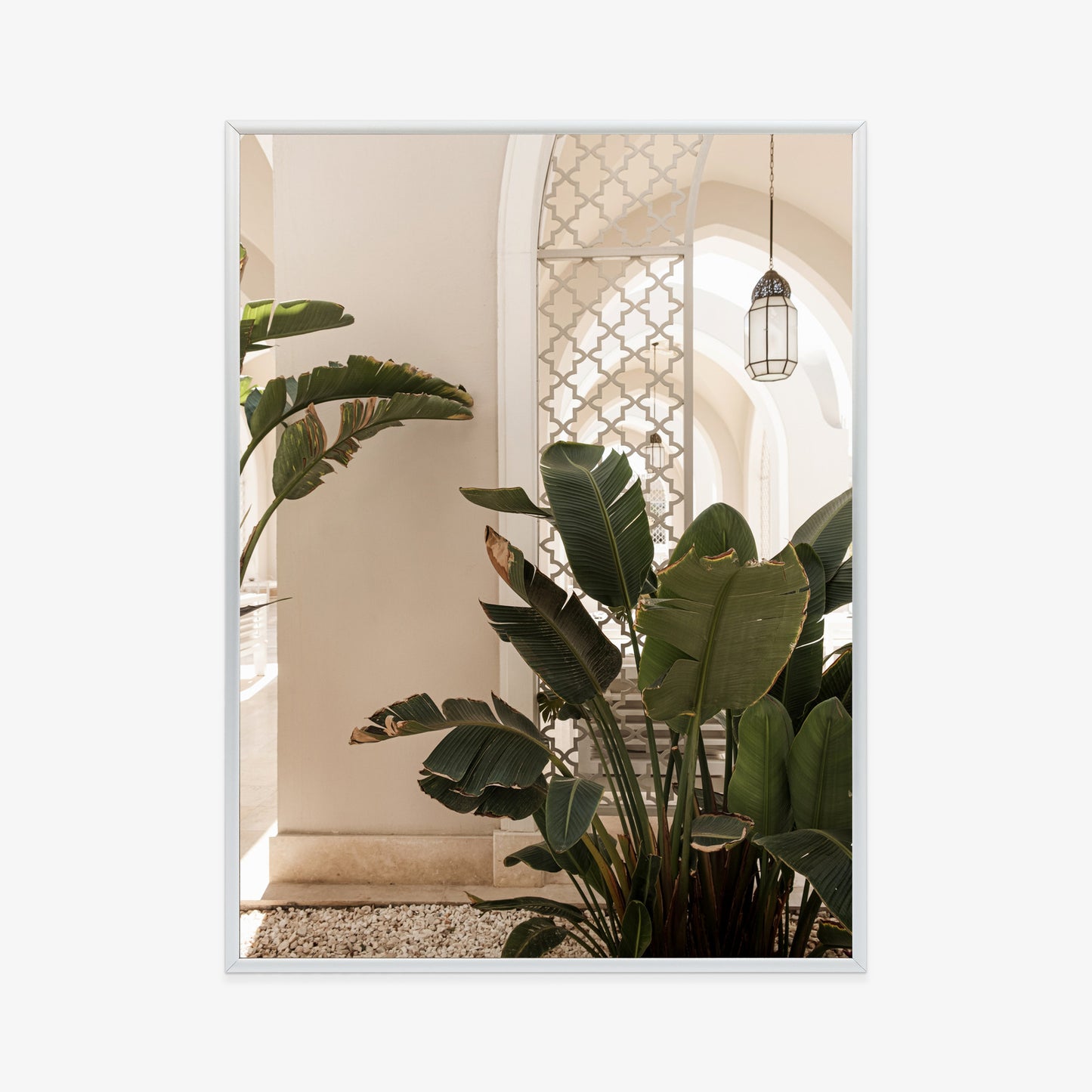 Poster Palmen Am Eingang Eines Weißen Orientalischen Hauses Rahmen Holz Mit Passepartout Farbe Natürlich