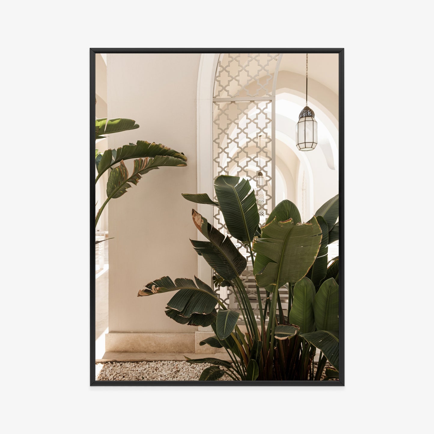 Poster Palmen Am Eingang Eines Weißen Orientalischen Hauses Rahmen Holz Mit Passepartout Farbe Natürlich