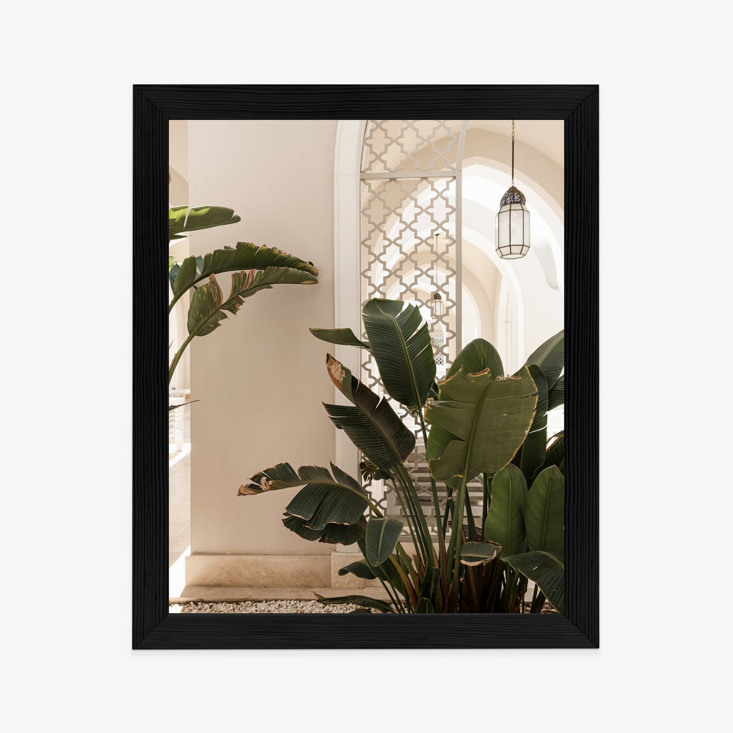 Poster Palmen Am Eingang Eines Weißen Orientalischen Hauses Rahmen Holz Mit Passepartout Farbe Natürlich