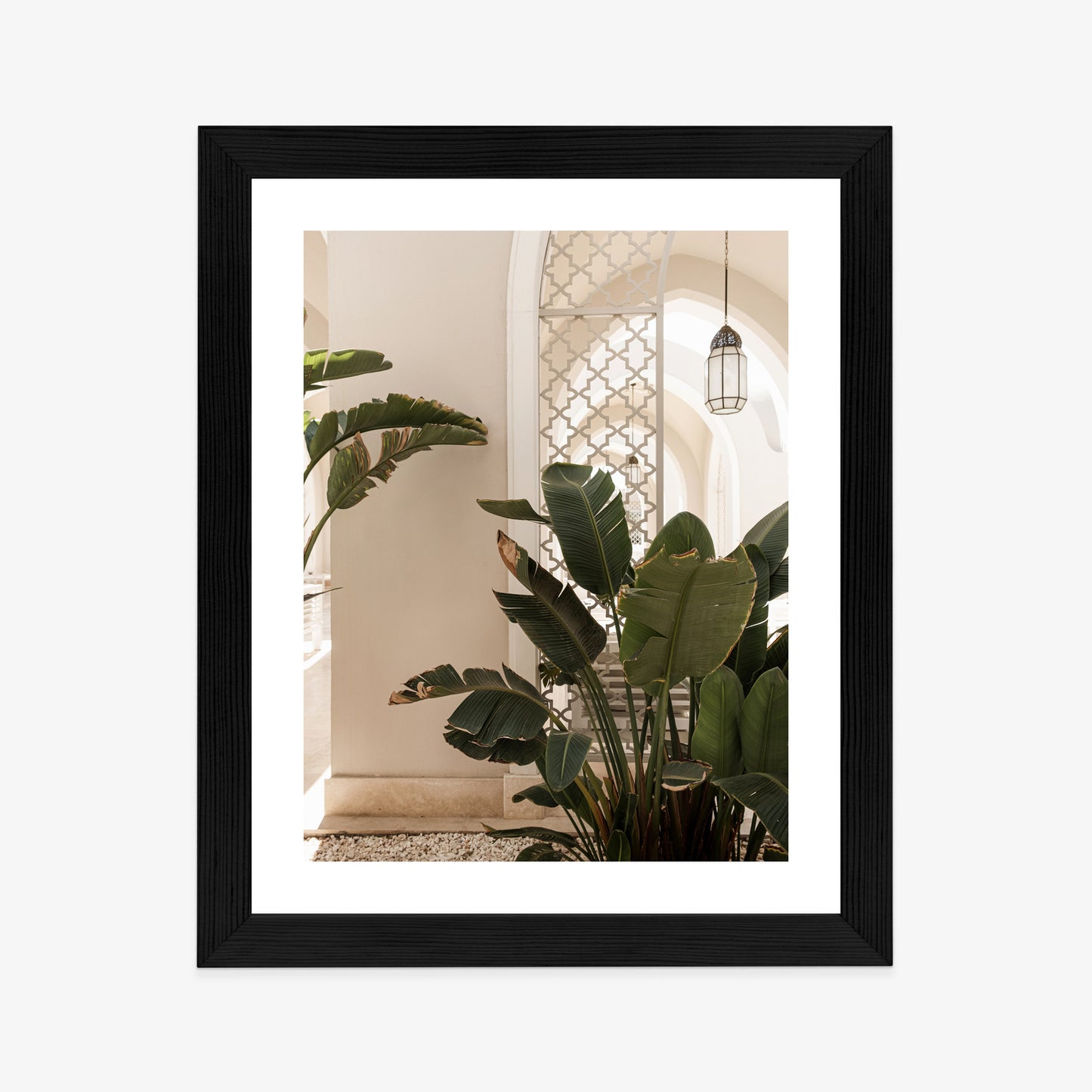 Poster Palmen Am Eingang Eines Weißen Orientalischen Hauses Rahmen Holz Mit Passepartout Farbe Natürlich