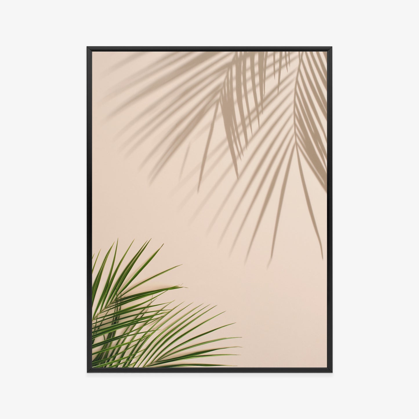 Poster Sommer Natürliche Grüne Palmblätter Und Schatten Rahmen Aluminium Farbe Schwarz