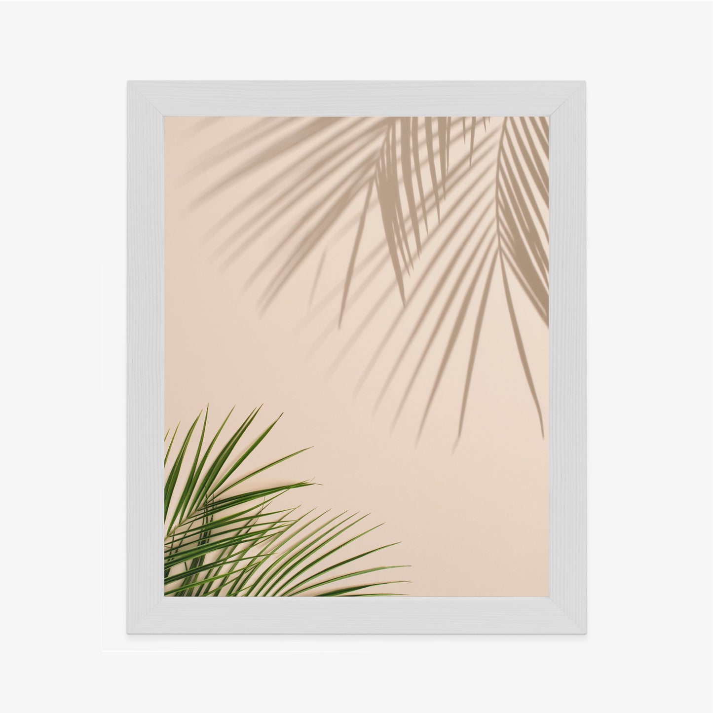 Poster Sommer Natürliche Grüne Palmblätter Und Schatten Rahmen Aluminium Farbe Schwarz
