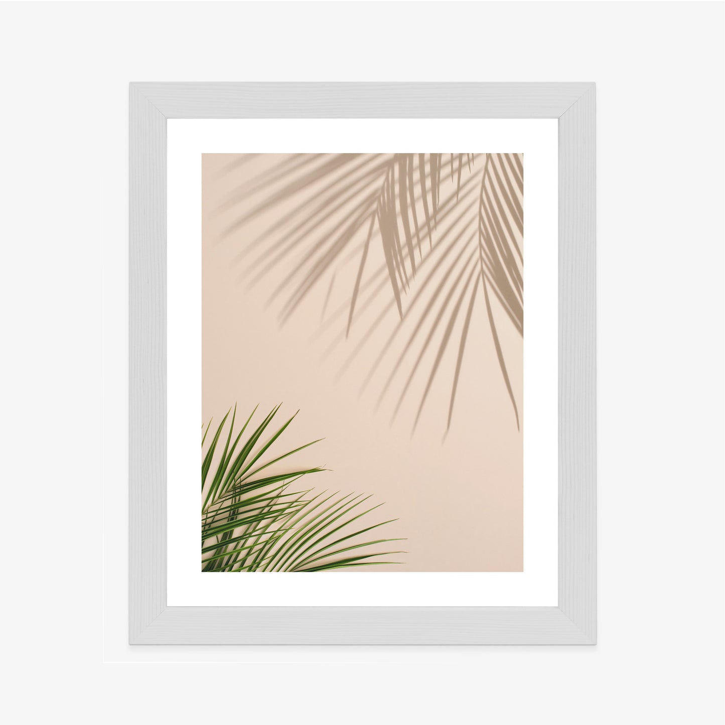 Poster Sommer Natürliche Grüne Palmblätter Und Schatten Rahmen Aluminium Farbe Schwarz