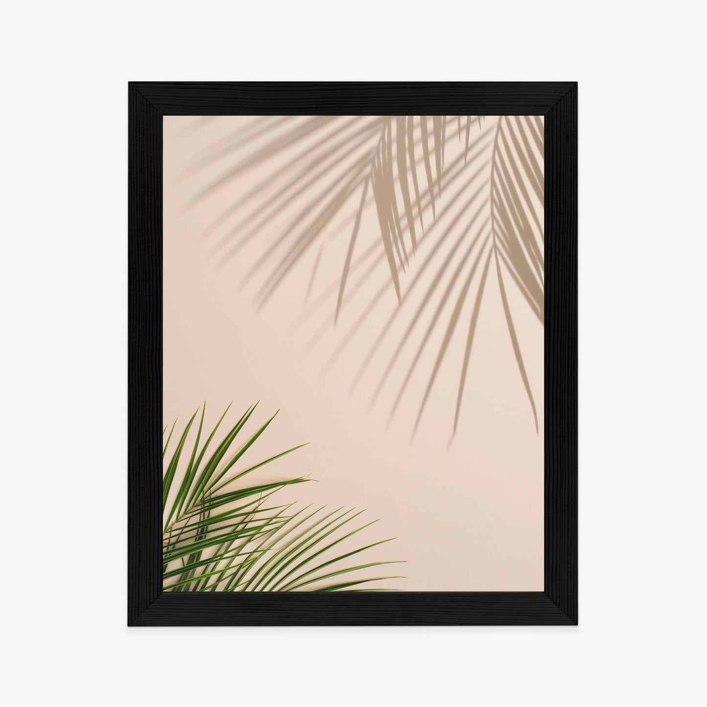 Poster Sommer Natürliche Grüne Palmblätter Und Schatten Rahmen Aluminium Farbe Schwarz
