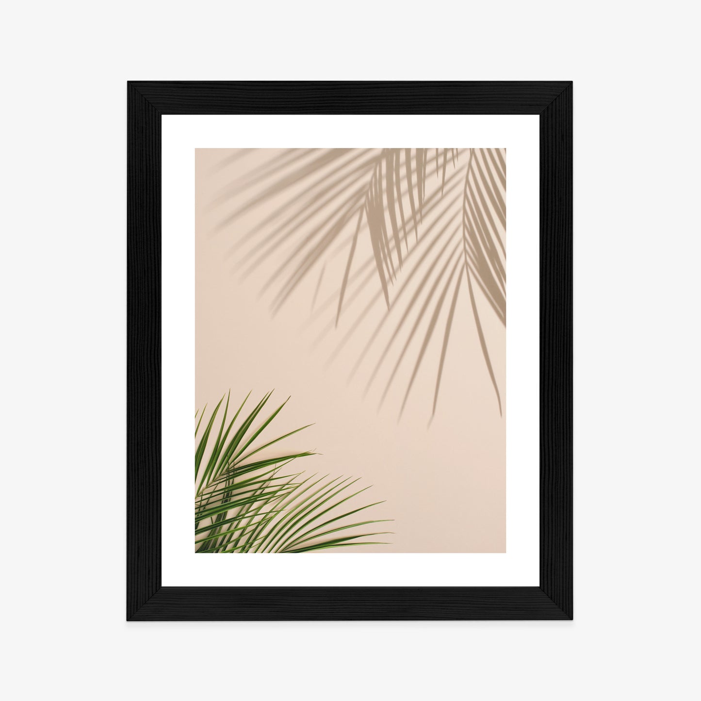 Poster Sommer Natürliche Grüne Palmblätter Und Schatten Rahmen Aluminium Farbe Schwarz