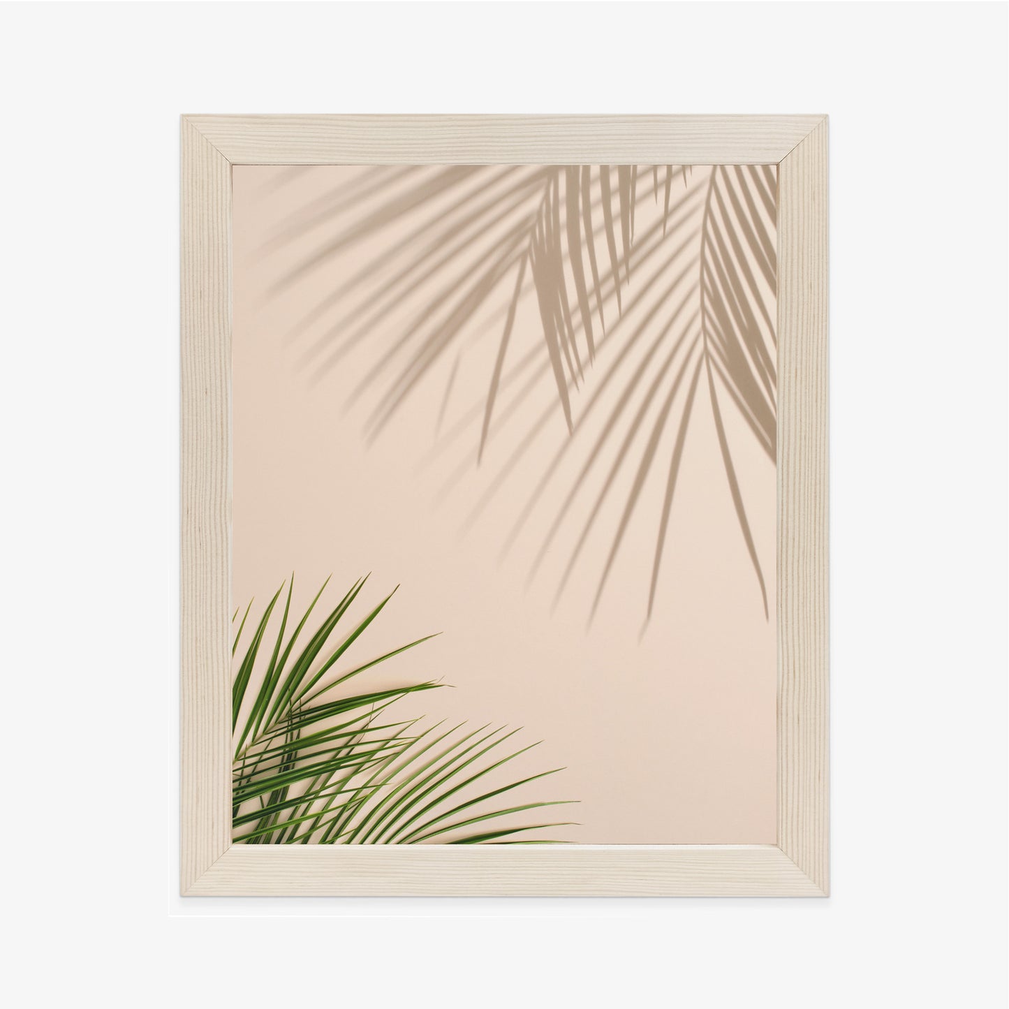 Poster Sommer Natürliche Grüne Palmblätter Und Schatten Rahmen Aluminium Farbe Schwarz