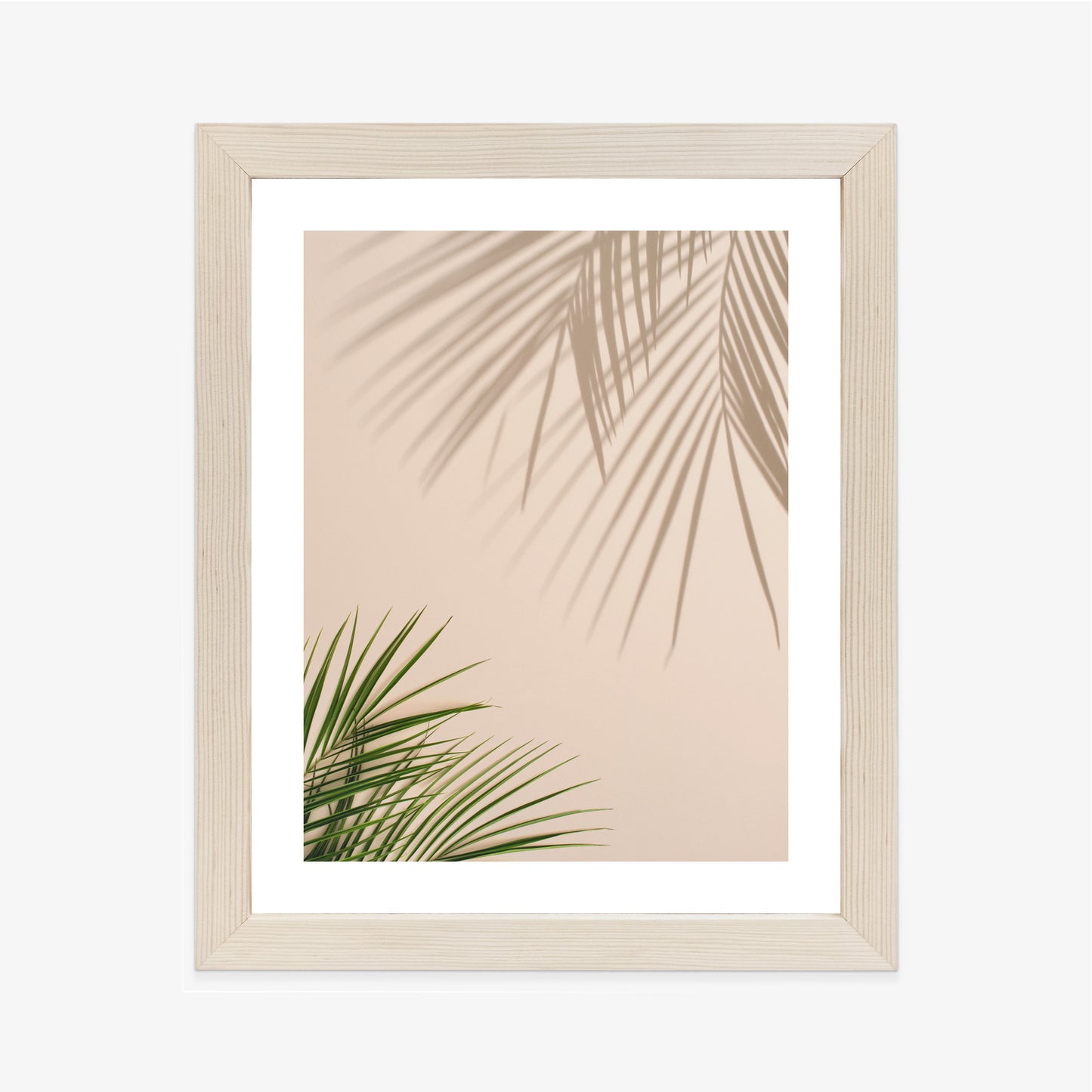 Poster Sommer Natürliche Grüne Palmblätter Und Schatten Rahmen Aluminium Farbe Schwarz