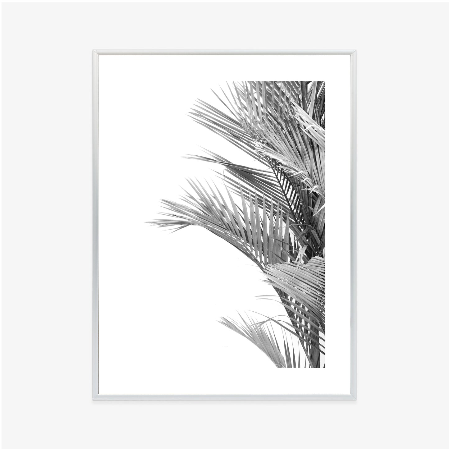 Poster Schwarze Und Weiße Palmblätter Rahmen Holz Mit Passepartout Farbe Natürlich