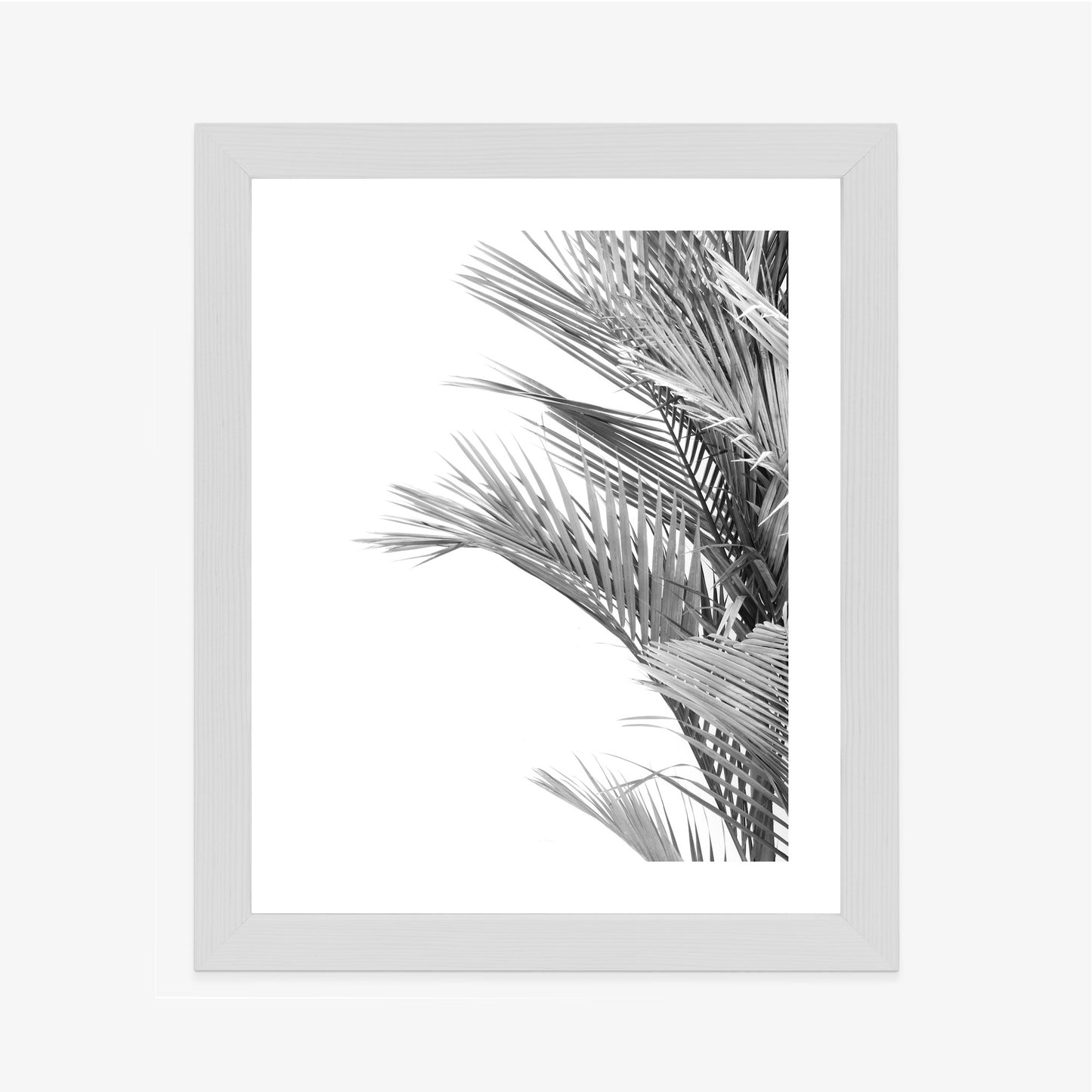 Poster Schwarze Und Weiße Palmblätter Rahmen Holz Mit Passepartout Farbe Natürlich