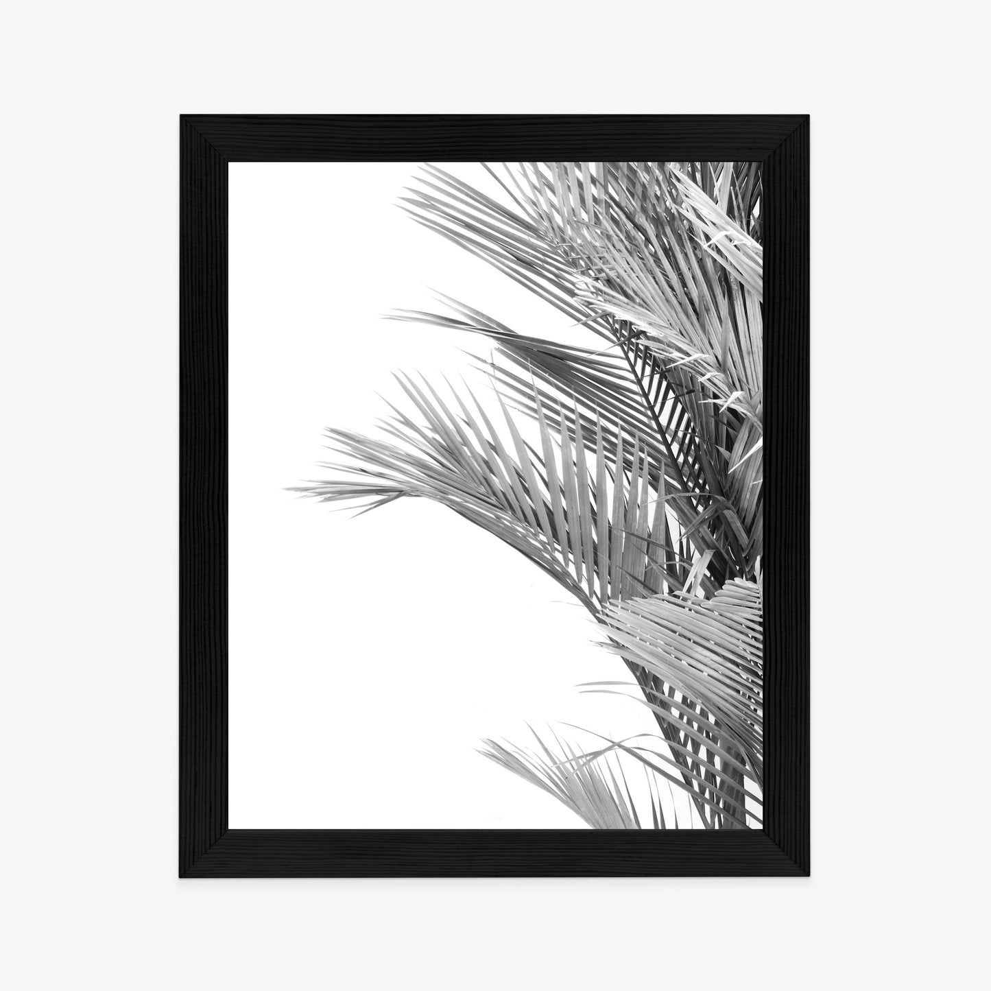 Poster Schwarze Und Weiße Palmblätter Rahmen Holz Mit Passepartout Farbe Natürlich