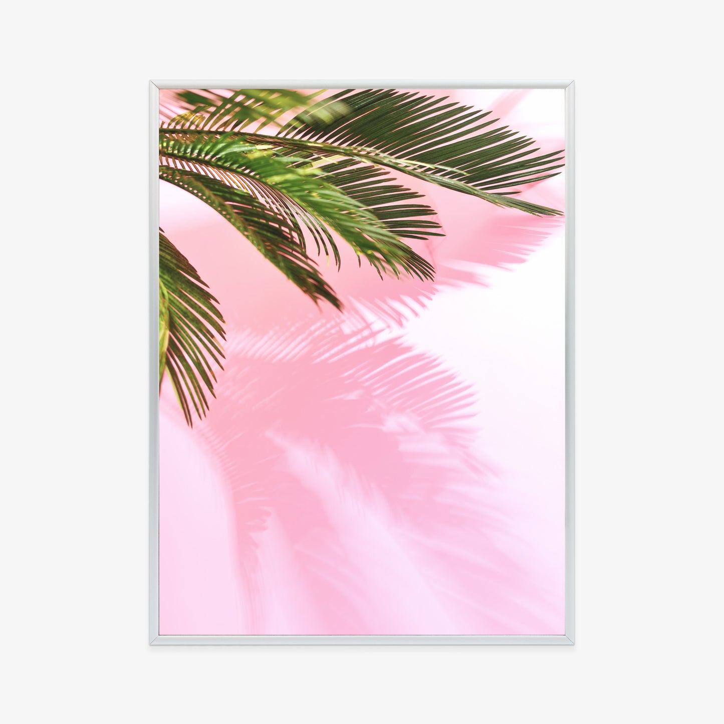 Poster Sommerpalme Vor Einer Rosa Wand