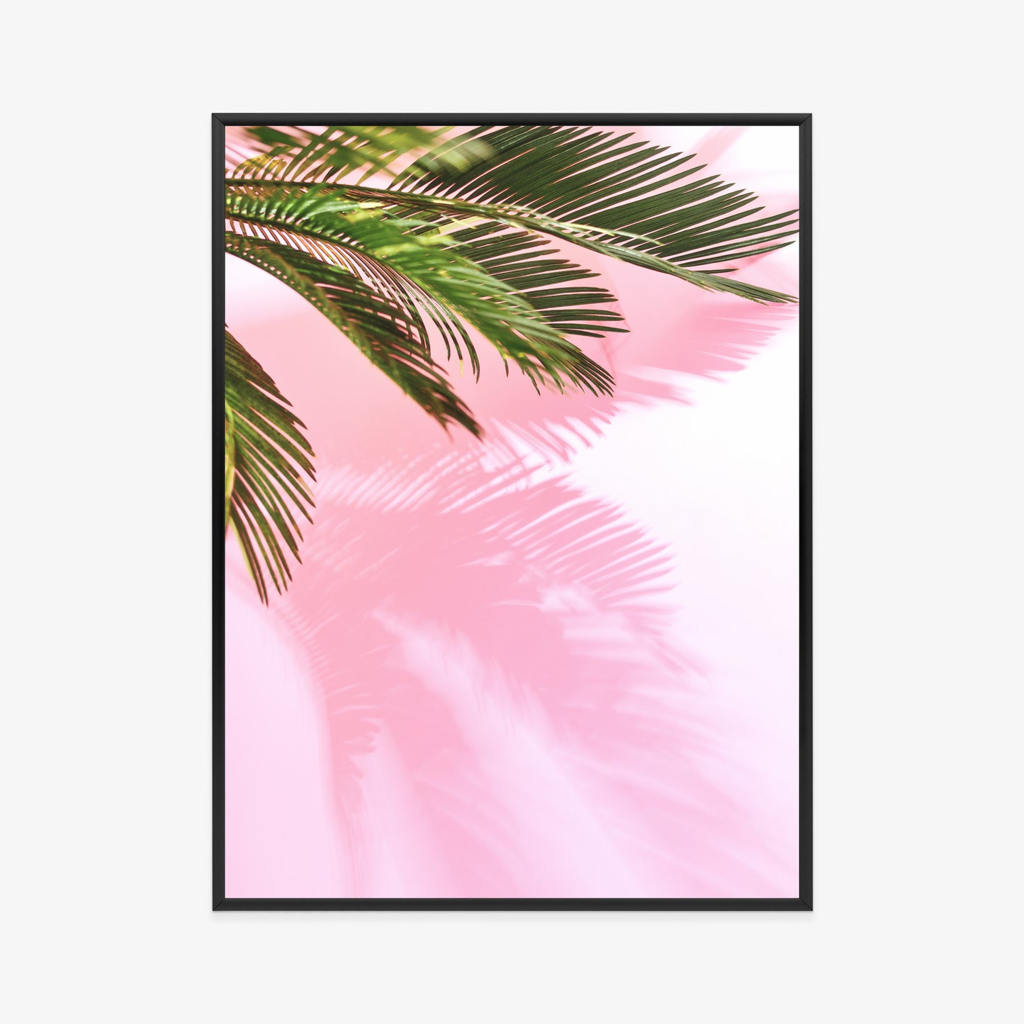 Poster Sommerpalme Vor Einer Rosa Wand