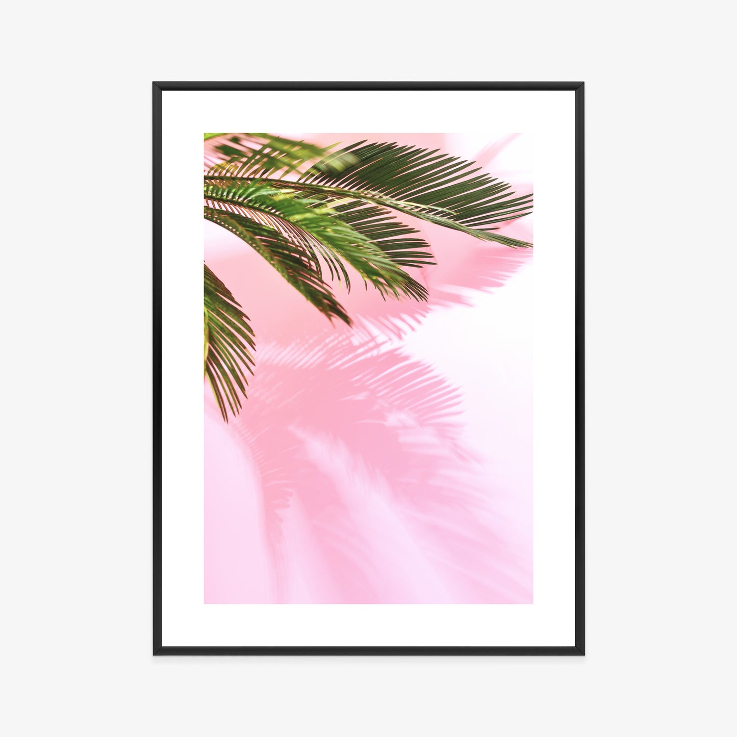 Poster Sommerpalme Vor Einer Rosa Wand