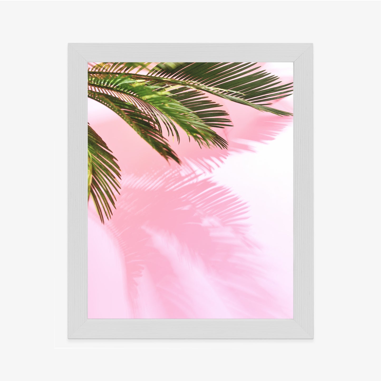 Poster Sommerpalme Vor Einer Rosa Wand