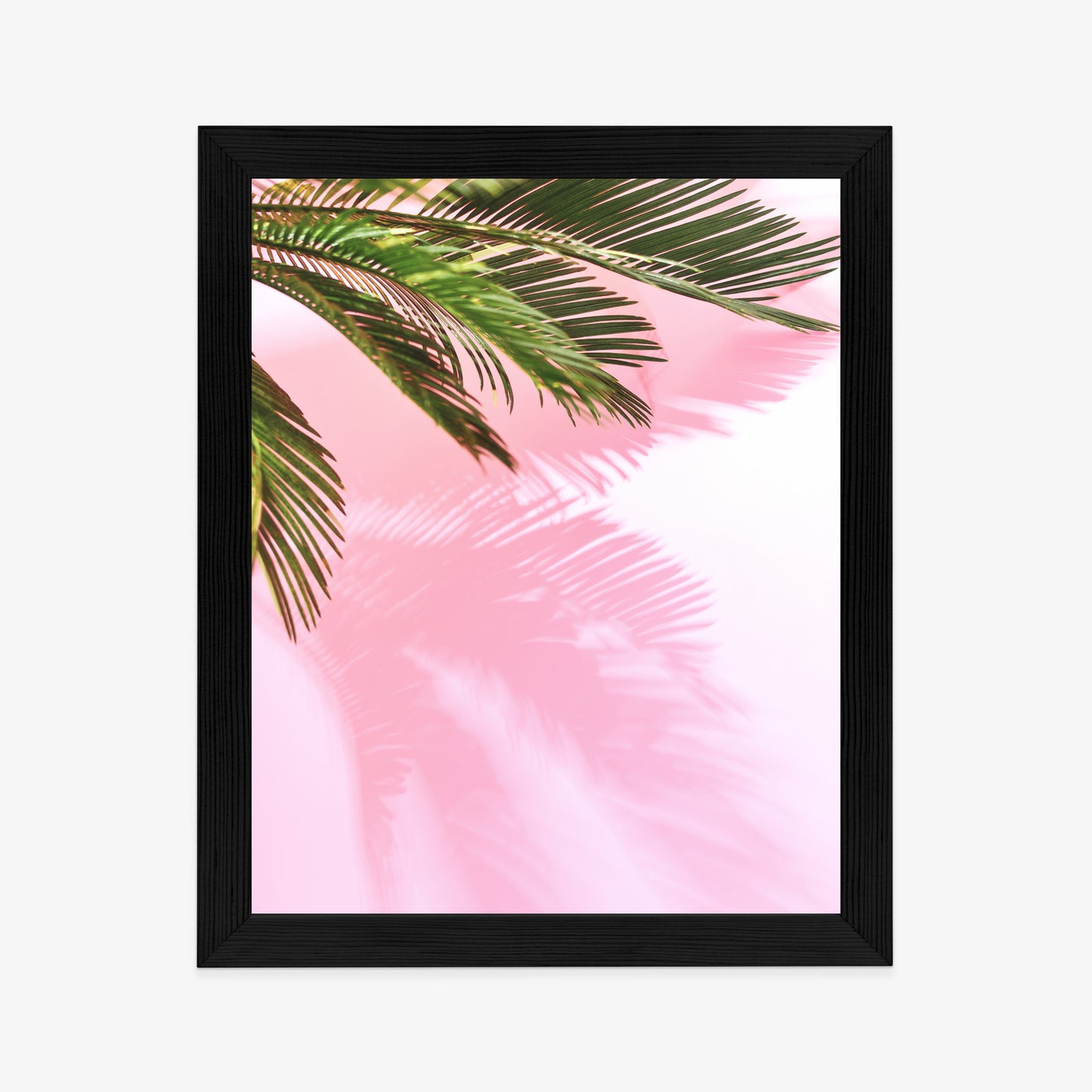 Poster Sommerpalme Vor Einer Rosa Wand