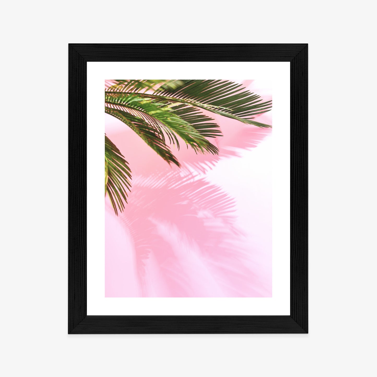 Poster Sommerpalme Vor Einer Rosa Wand