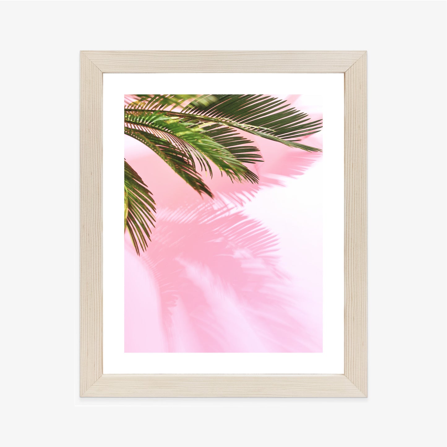 Poster Sommerpalme Vor Einer Rosa Wand