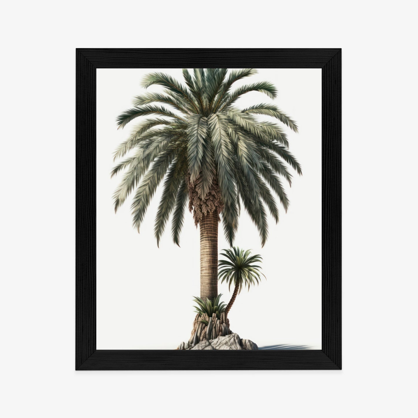 Poster Palme Mit Grünem Zweig Rahmen Holz Mit Passepartout Farbe Natürlich