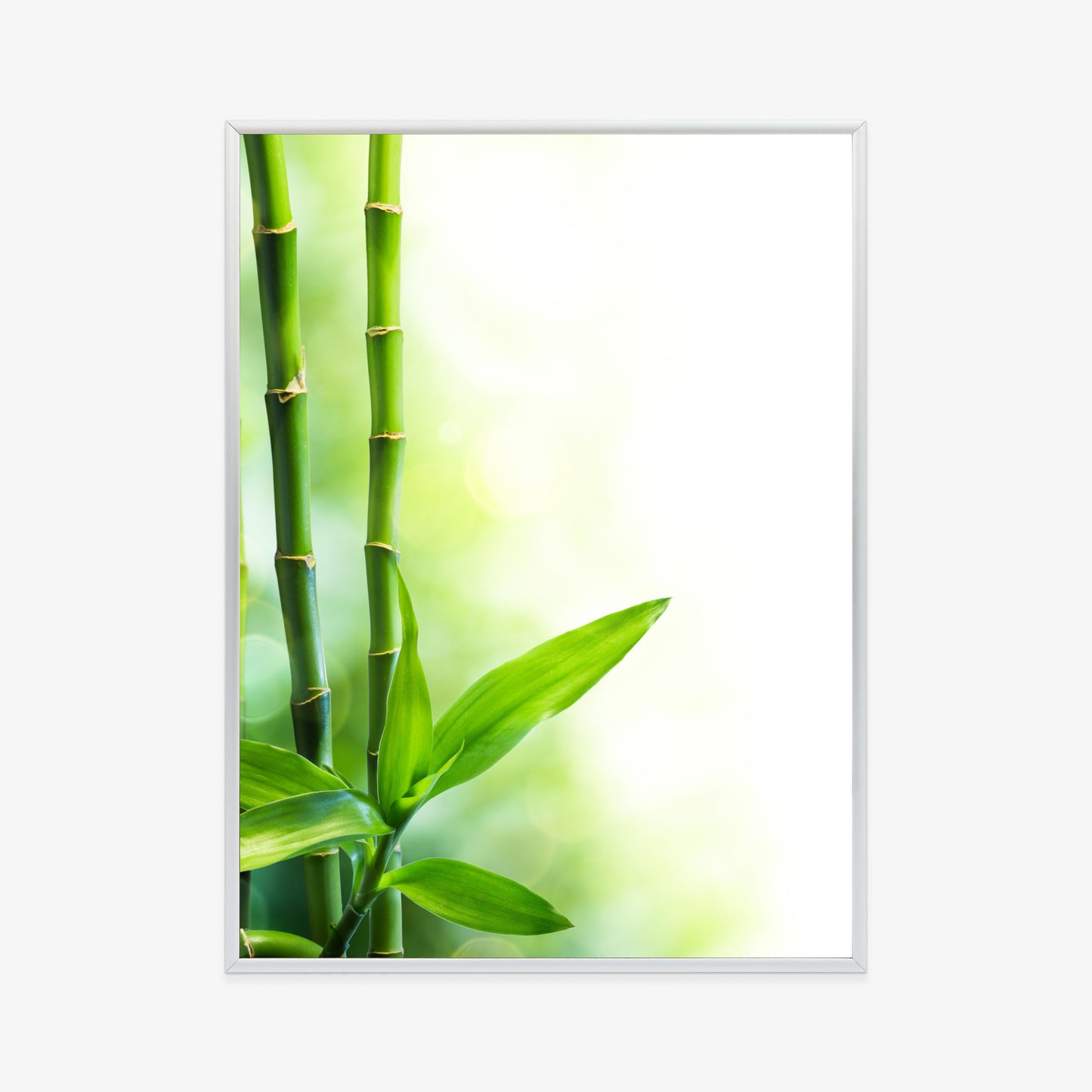 Poster Viele Bambusstiele Und Lichtbalken Rahmen Aluminium Mit Passepartout Farbe Silber