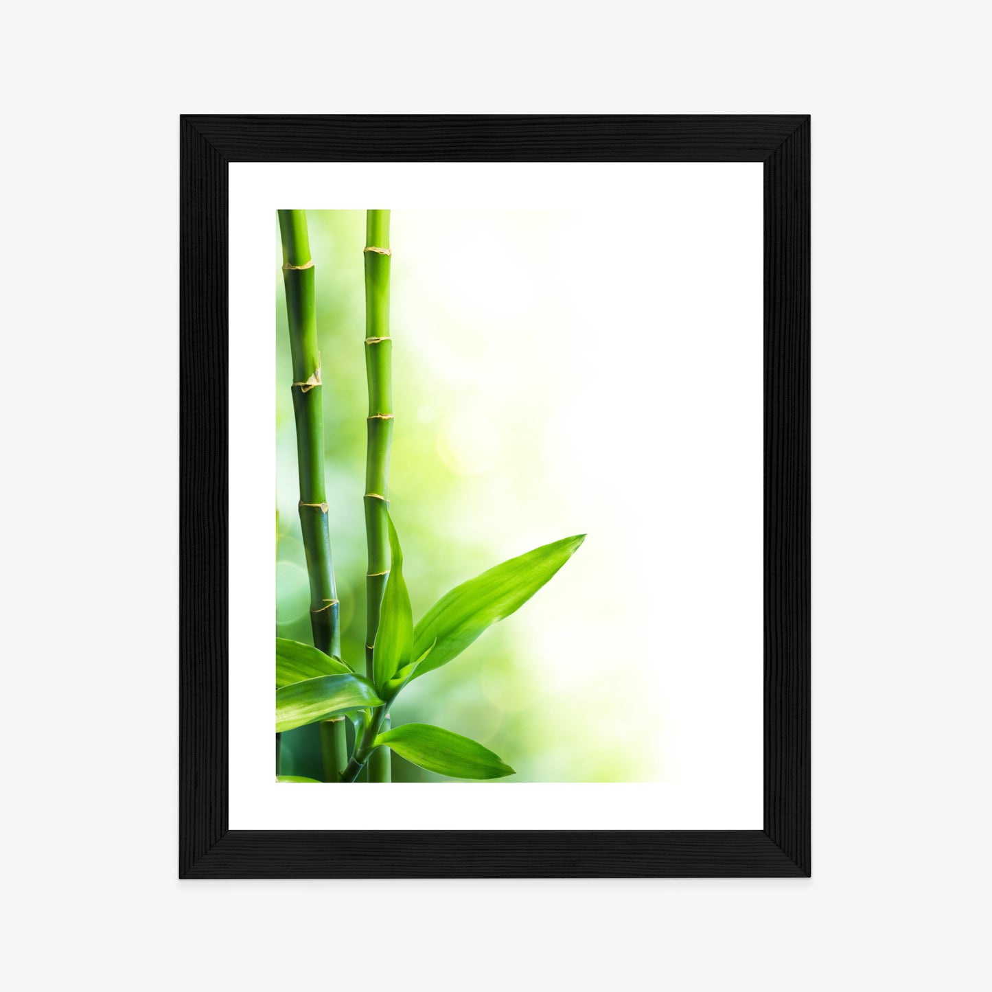Poster Viele Bambusstiele Und Lichtbalken Rahmen Aluminium Mit Passepartout Farbe Silber