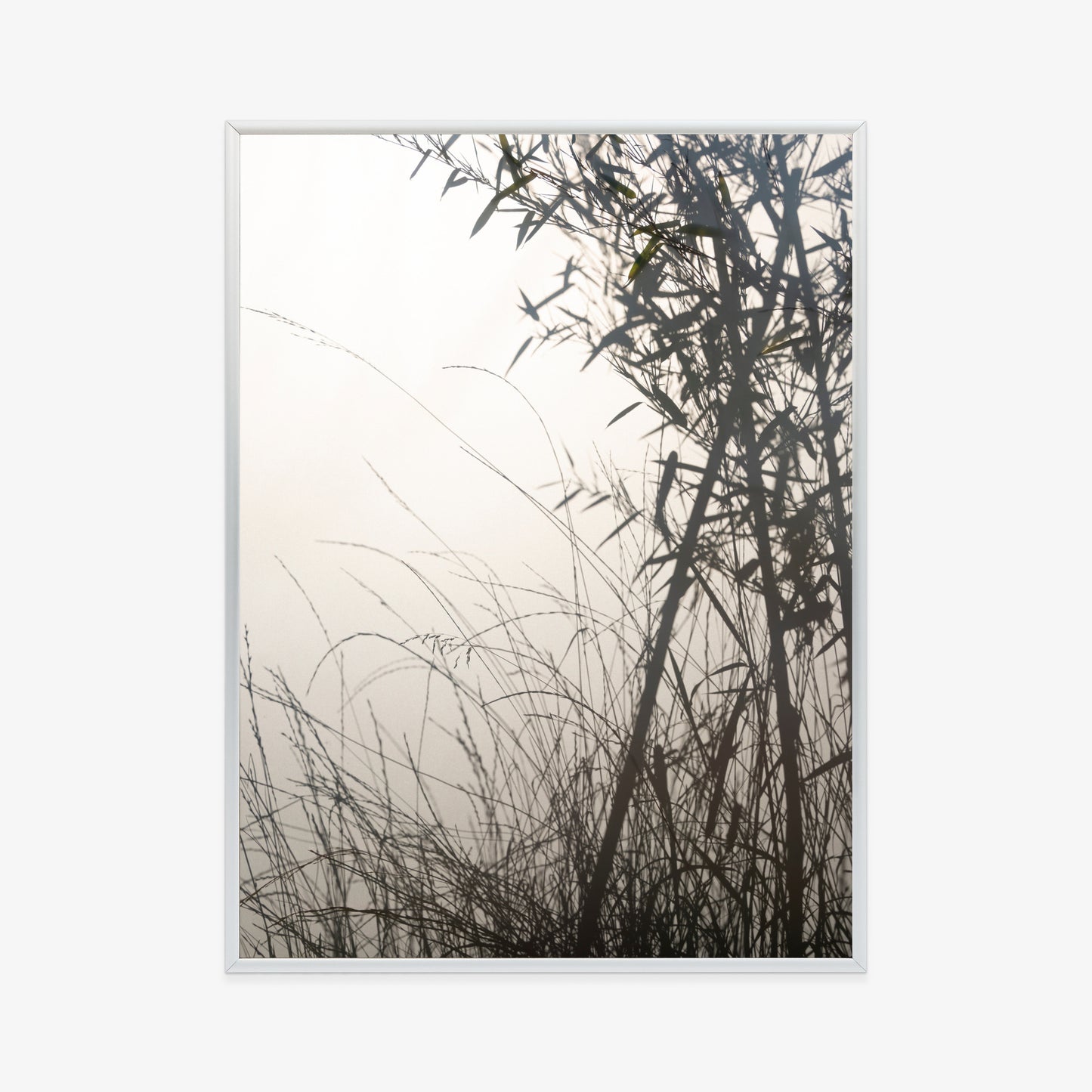 Poster Bambus Und Gräser Am See Rahmen Holz Mit Passepartout Farbe Natürlich