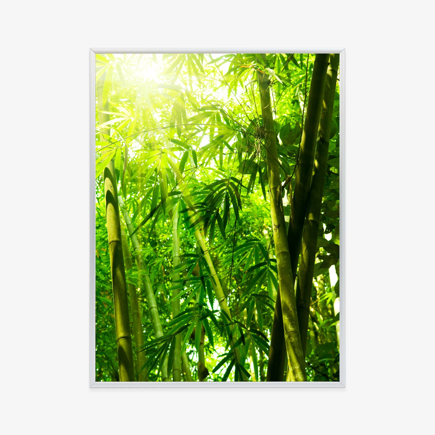Poster Sonne Und Bambuswald Rahmen Holz Mit Passepartout Farbe Natürlich
