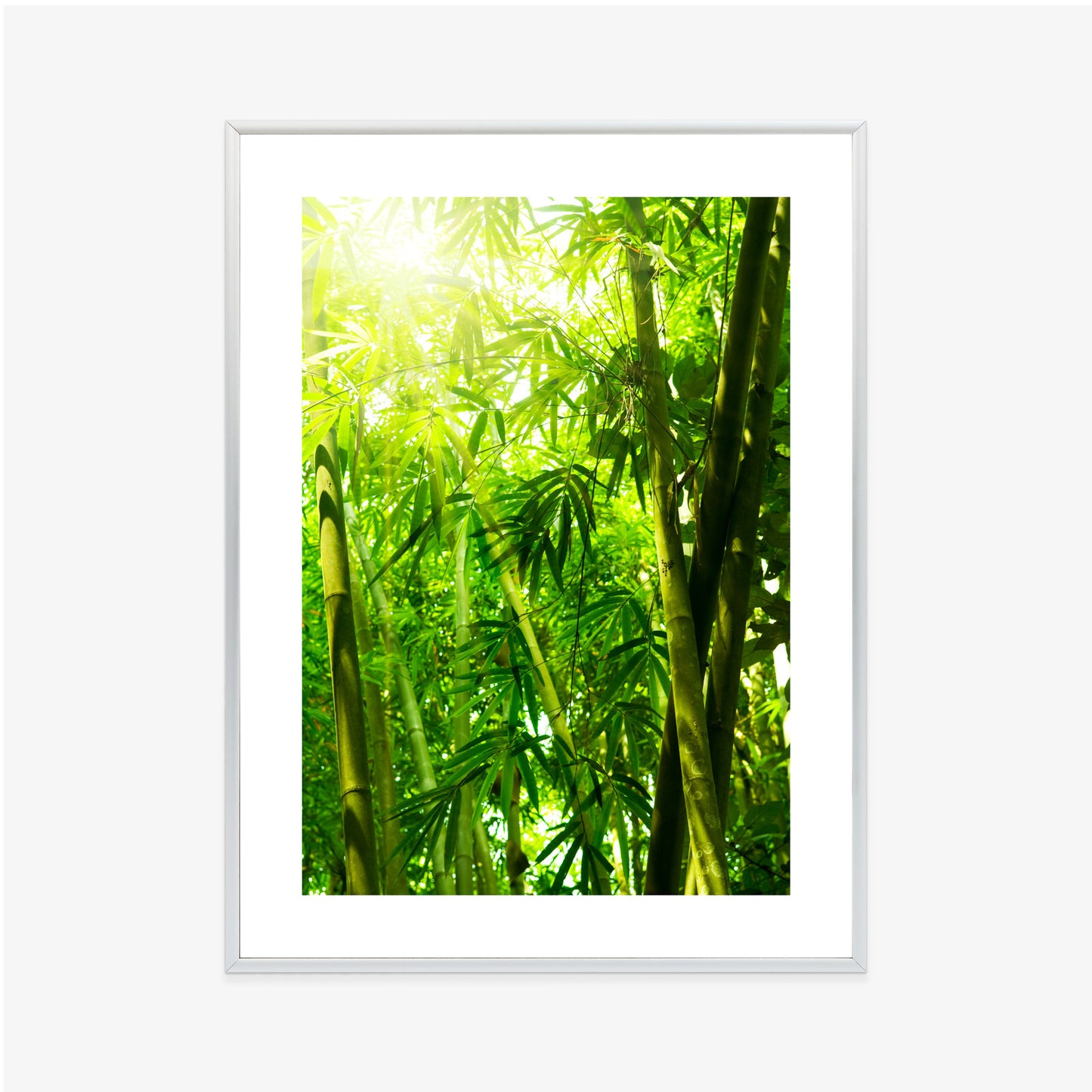 Poster Sonne Und Bambuswald Rahmen Holz Mit Passepartout Farbe Natürlich