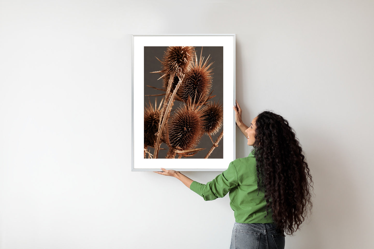 Poster Trockene Klette Rahmen Holz Mit Passepartout Farbe Weiß