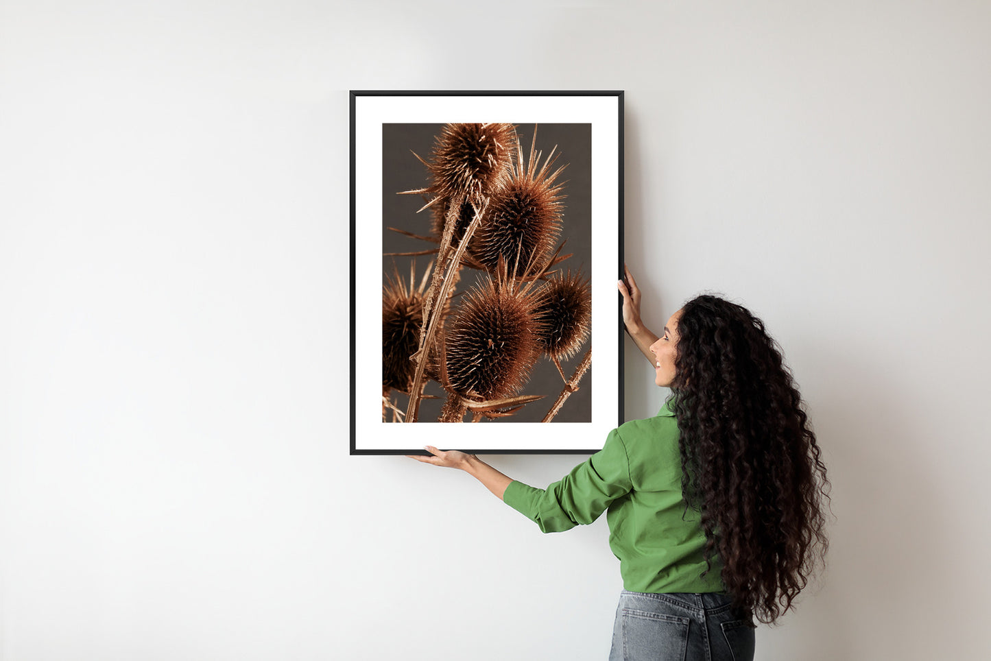 Poster Trockene Klette Rahmen Holz Mit Passepartout Farbe Weiß