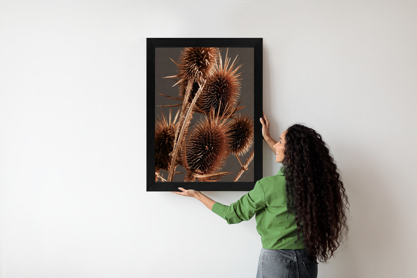Poster Trockene Klette Rahmen Holz Mit Passepartout Farbe Weiß