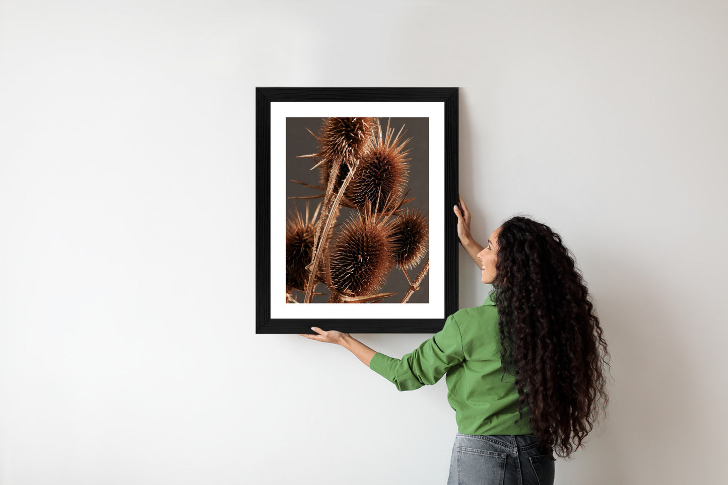 Poster Trockene Klette Rahmen Holz Mit Passepartout Farbe Weiß