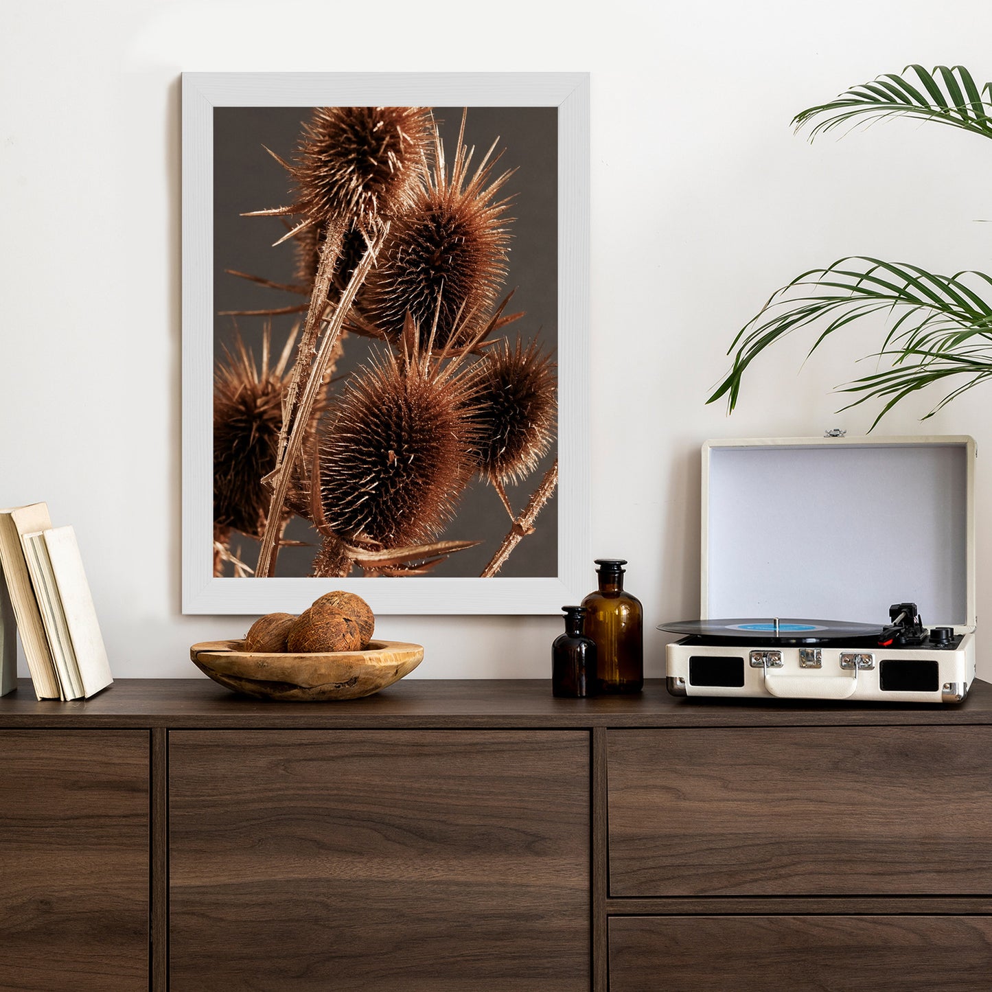 Poster Trockene Klette Rahmen Holz Mit Passepartout Farbe Weiß