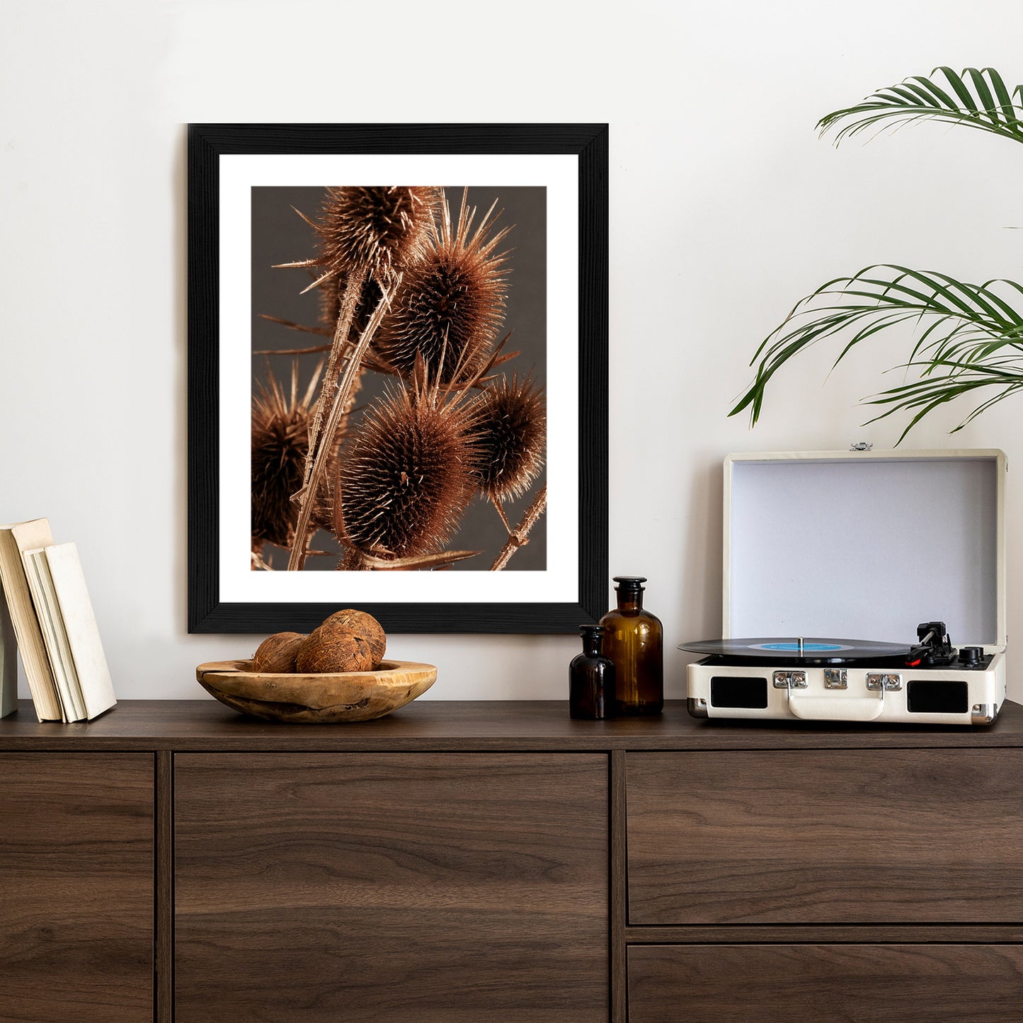 Poster Trockene Klette Rahmen Holz Mit Passepartout Farbe Weiß