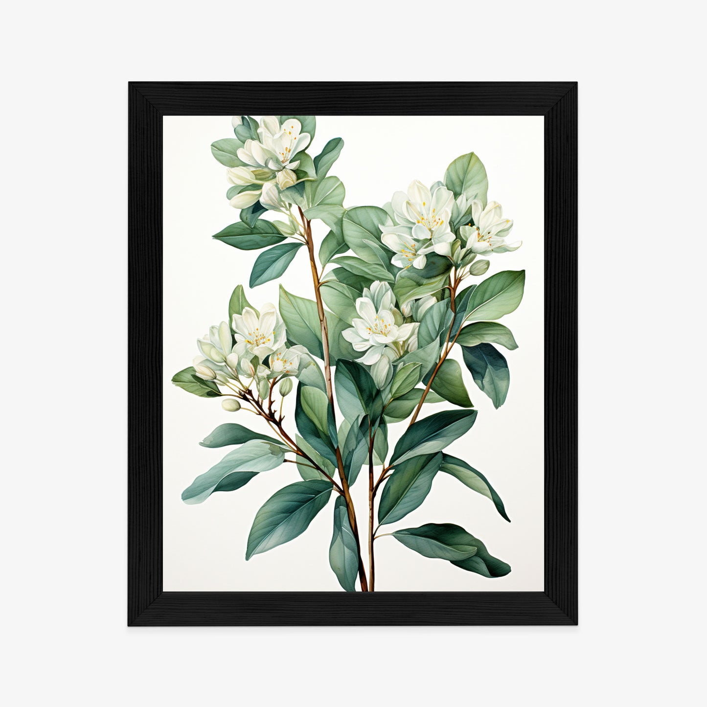 Poster Weiße Blüten Auf Einem Zweig Rahmen Holz Mit Passepartout Farbe Natürlich