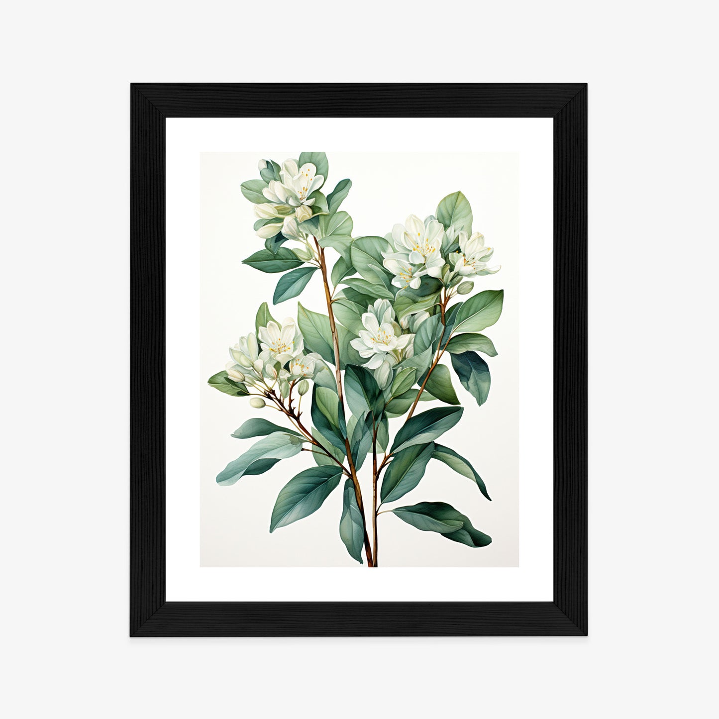 Poster Weiße Blüten Auf Einem Zweig Rahmen Holz Mit Passepartout Farbe Natürlich