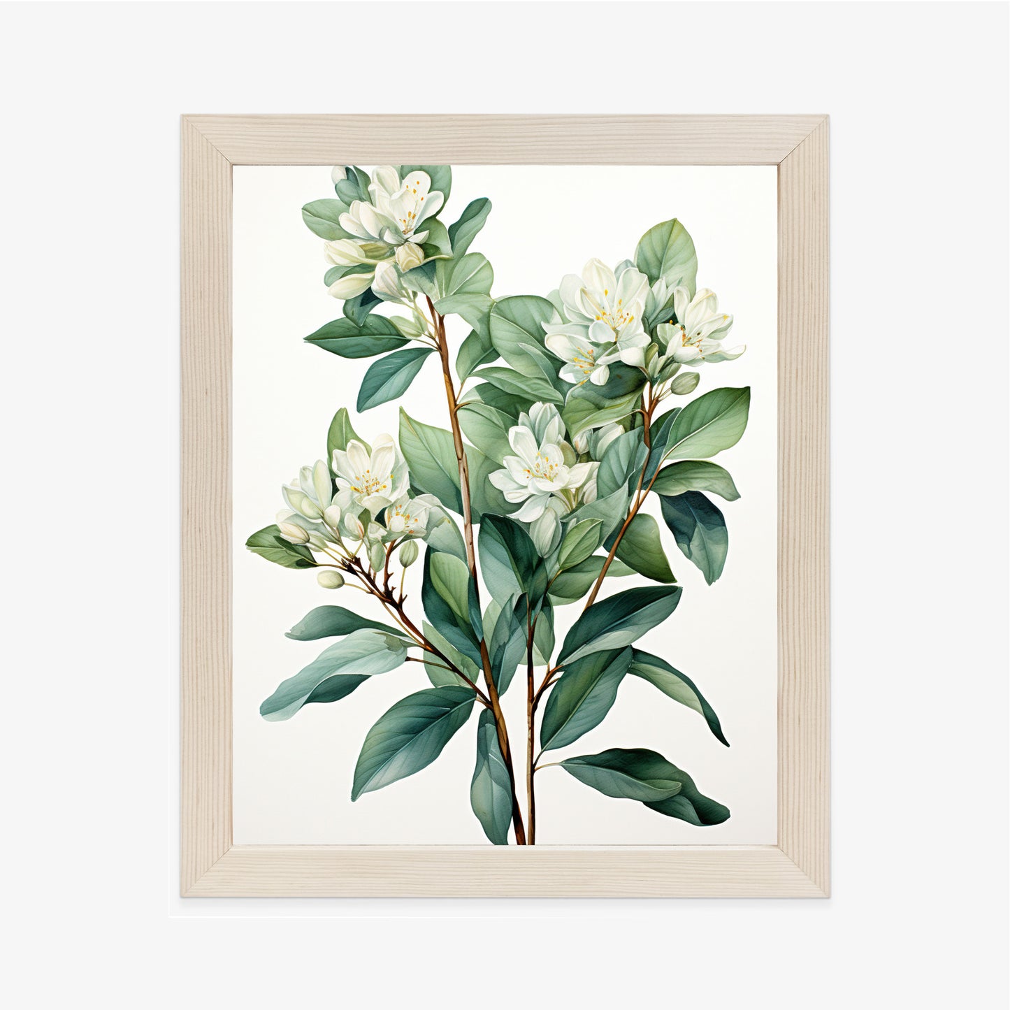 Poster Weiße Blüten Auf Einem Zweig Rahmen Holz Mit Passepartout Farbe Natürlich