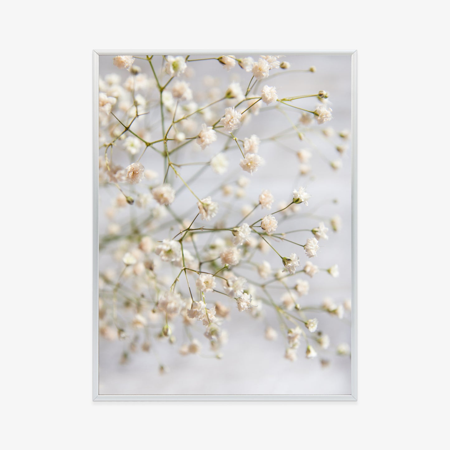 Poster Weiße Kleine Blüten An Dünnen Zweigen Rahmen Hölzern Farbe Schwarz