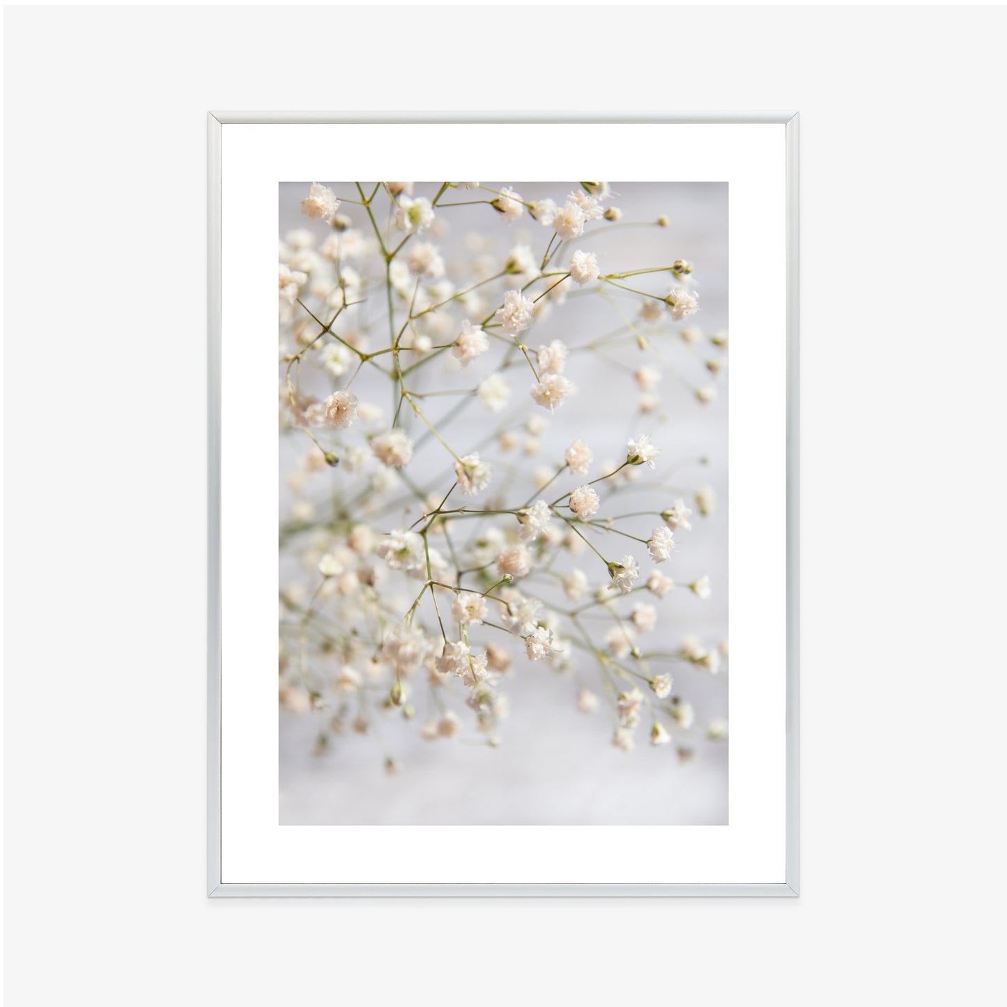 Poster Weiße Kleine Blüten An Dünnen Zweigen Rahmen Hölzern Farbe Schwarz