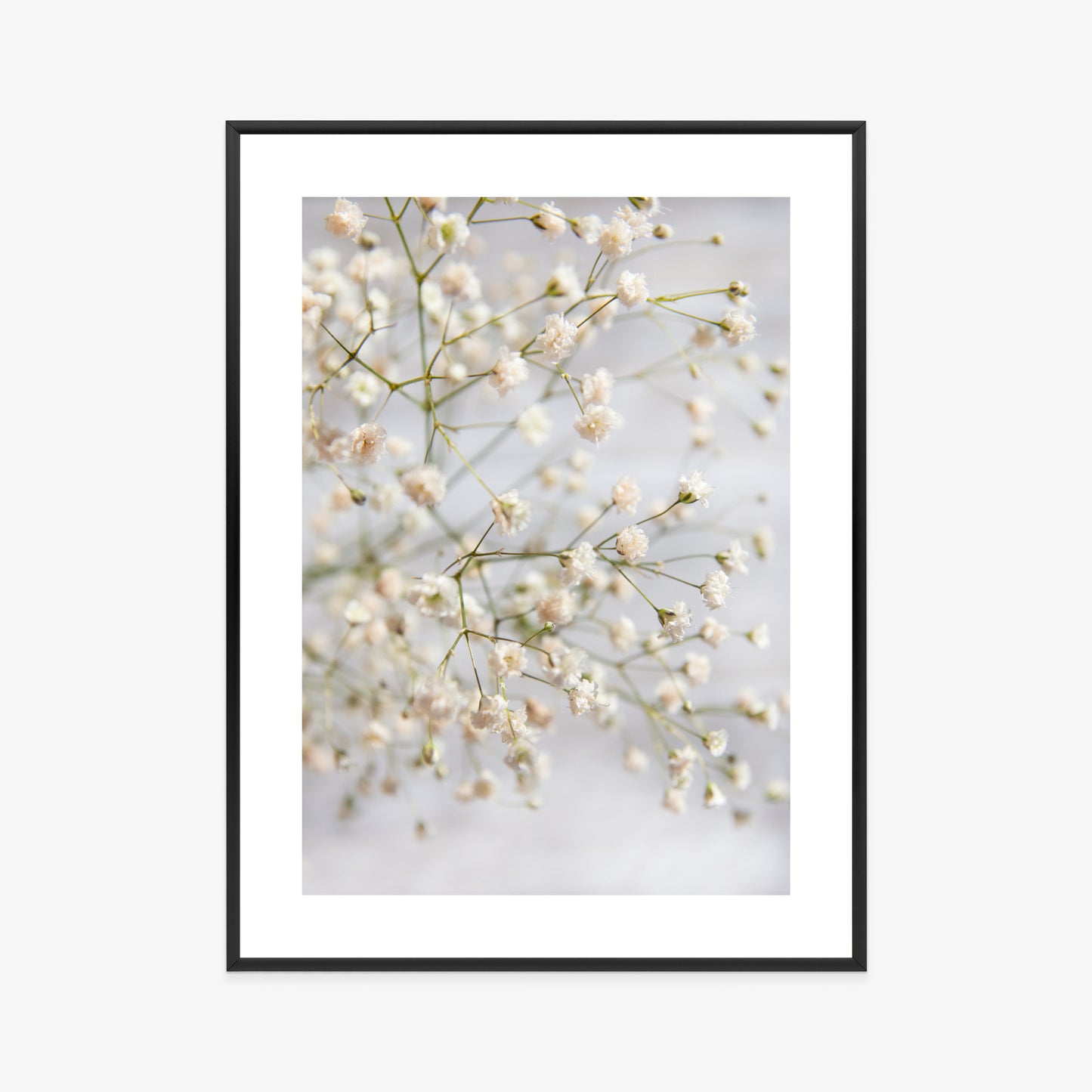 Poster Weiße Kleine Blüten An Dünnen Zweigen Rahmen Hölzern Farbe Schwarz